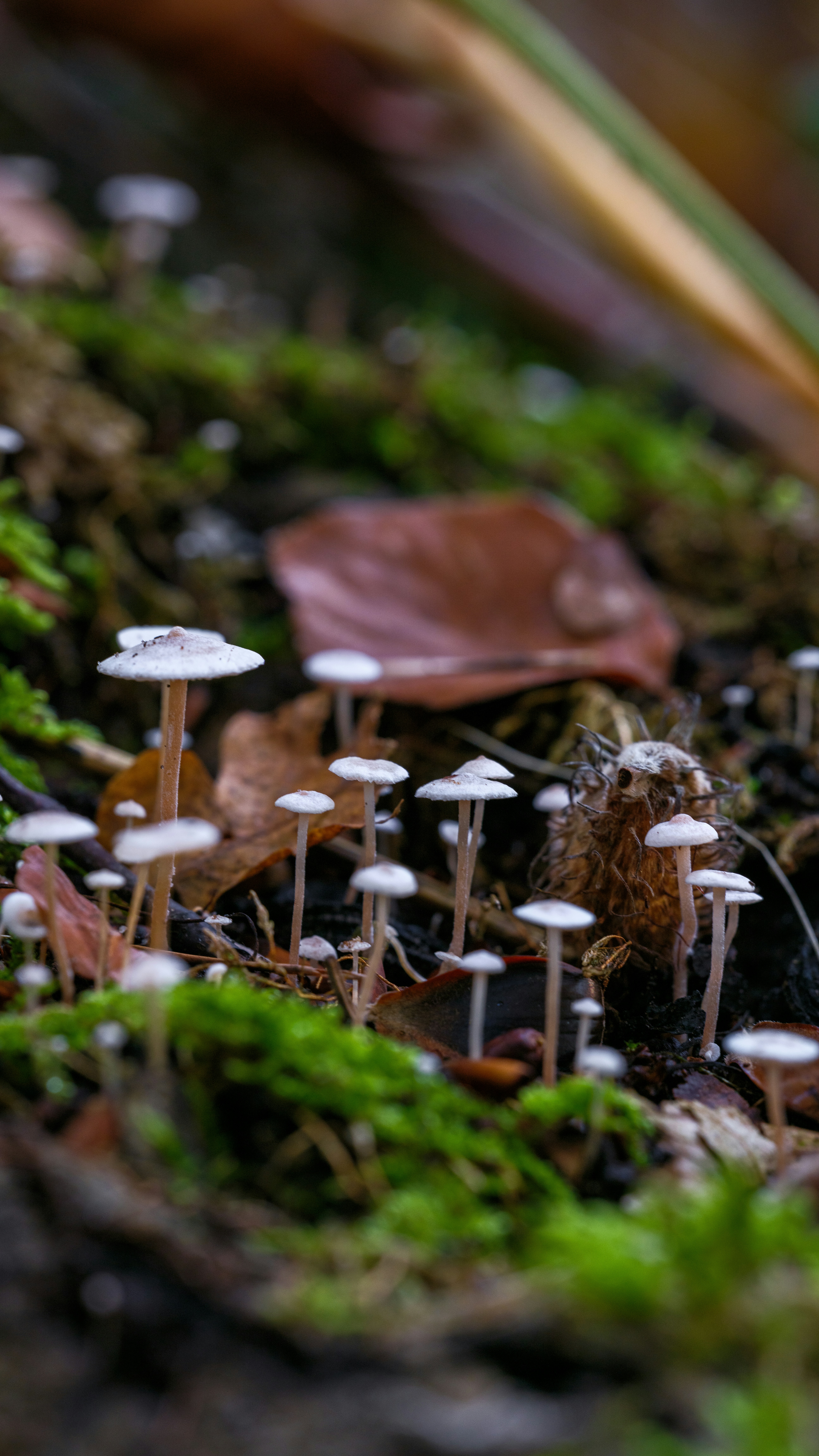 Photo by haberdoedas