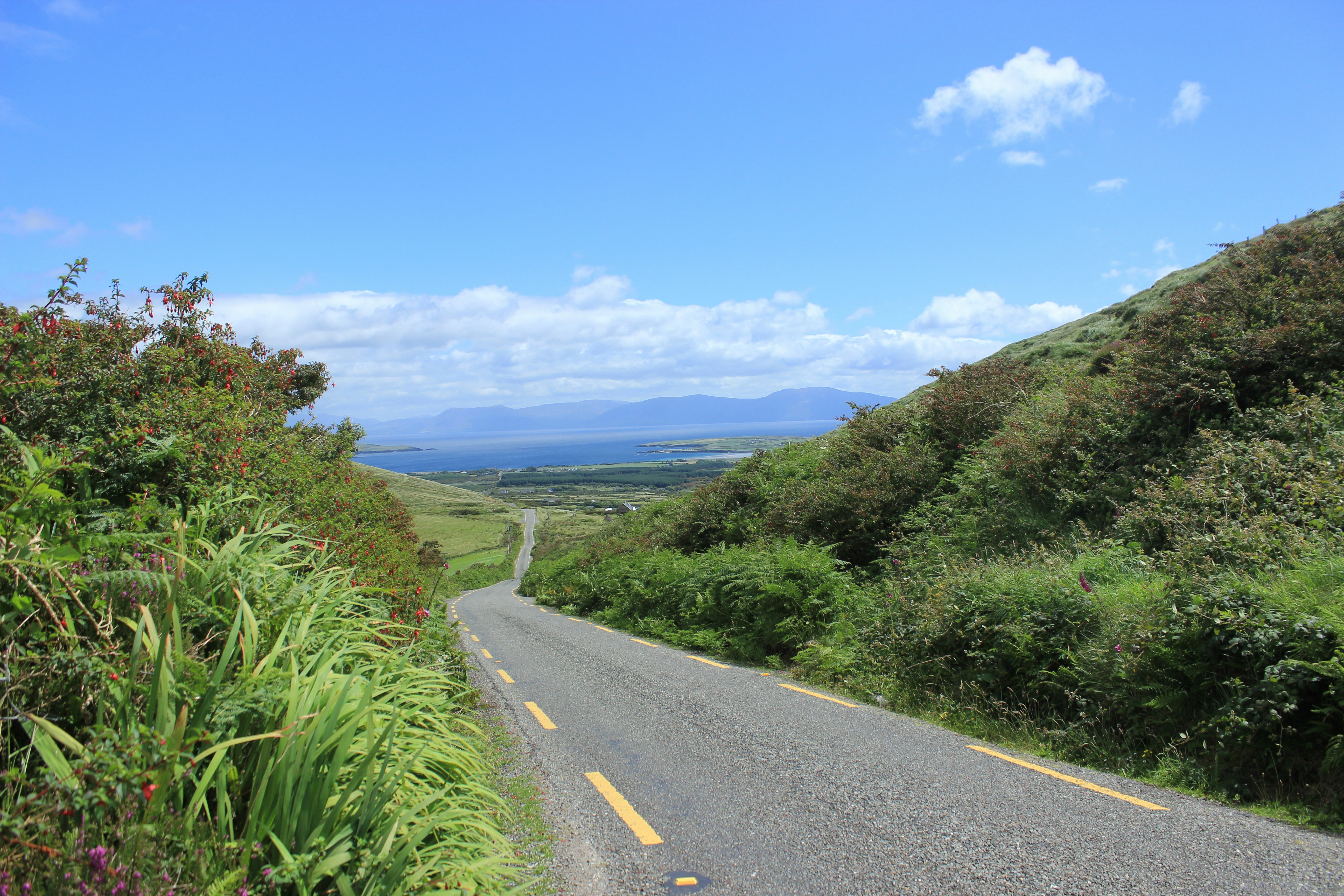 A view of the road from the side of the road
