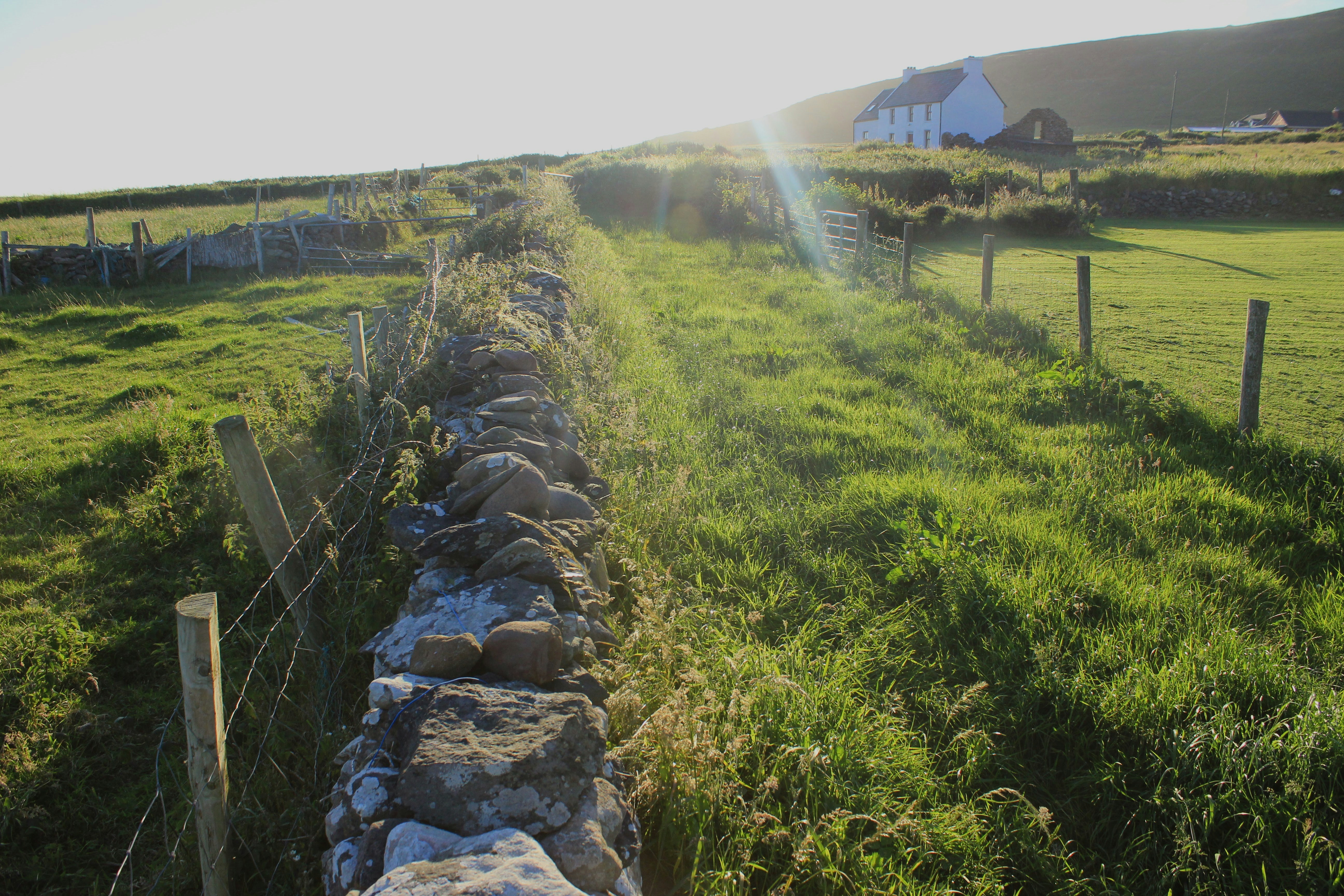 A stone wall in the middle of a grassy field