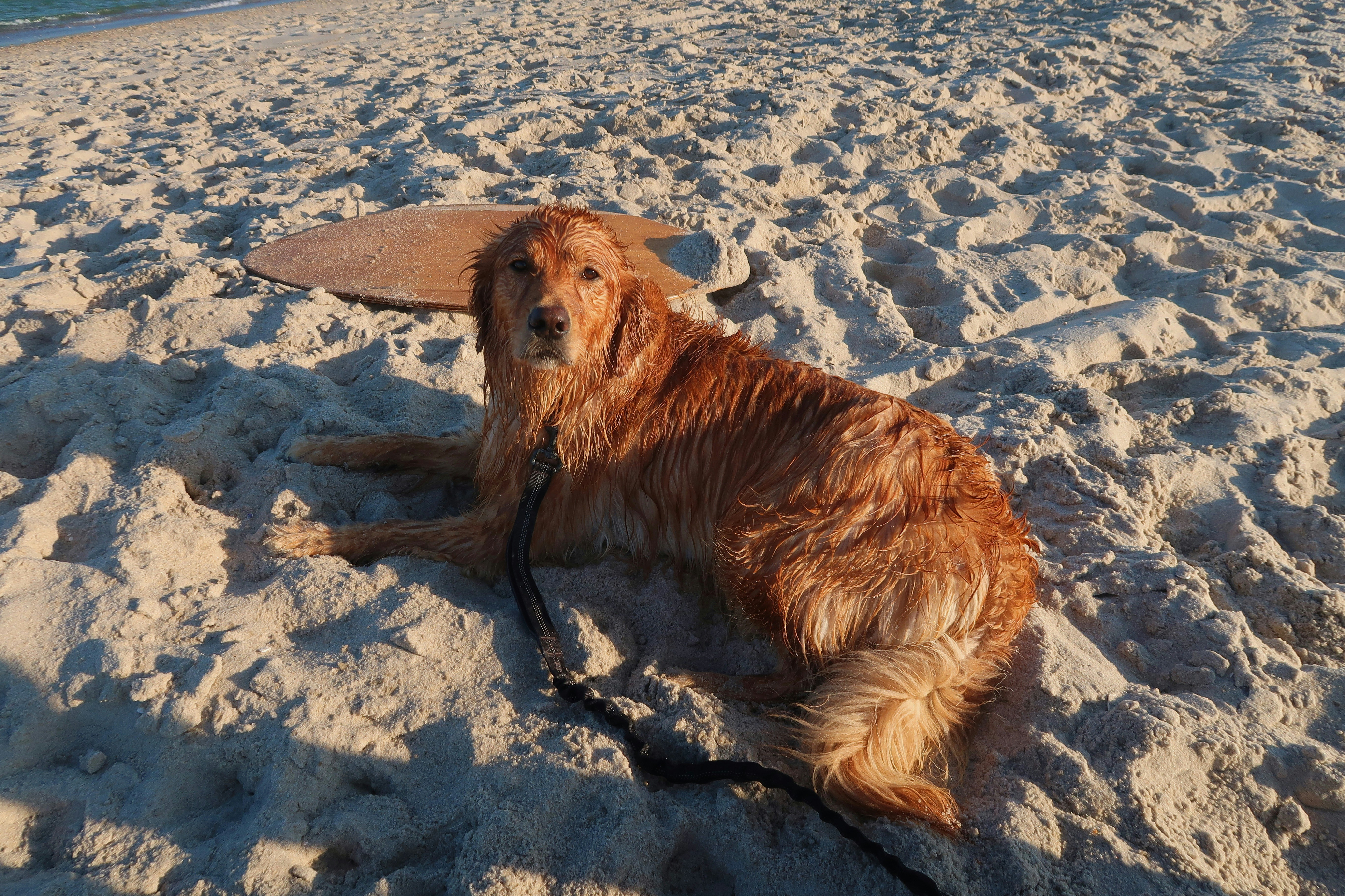 Photo by juliannaokupski