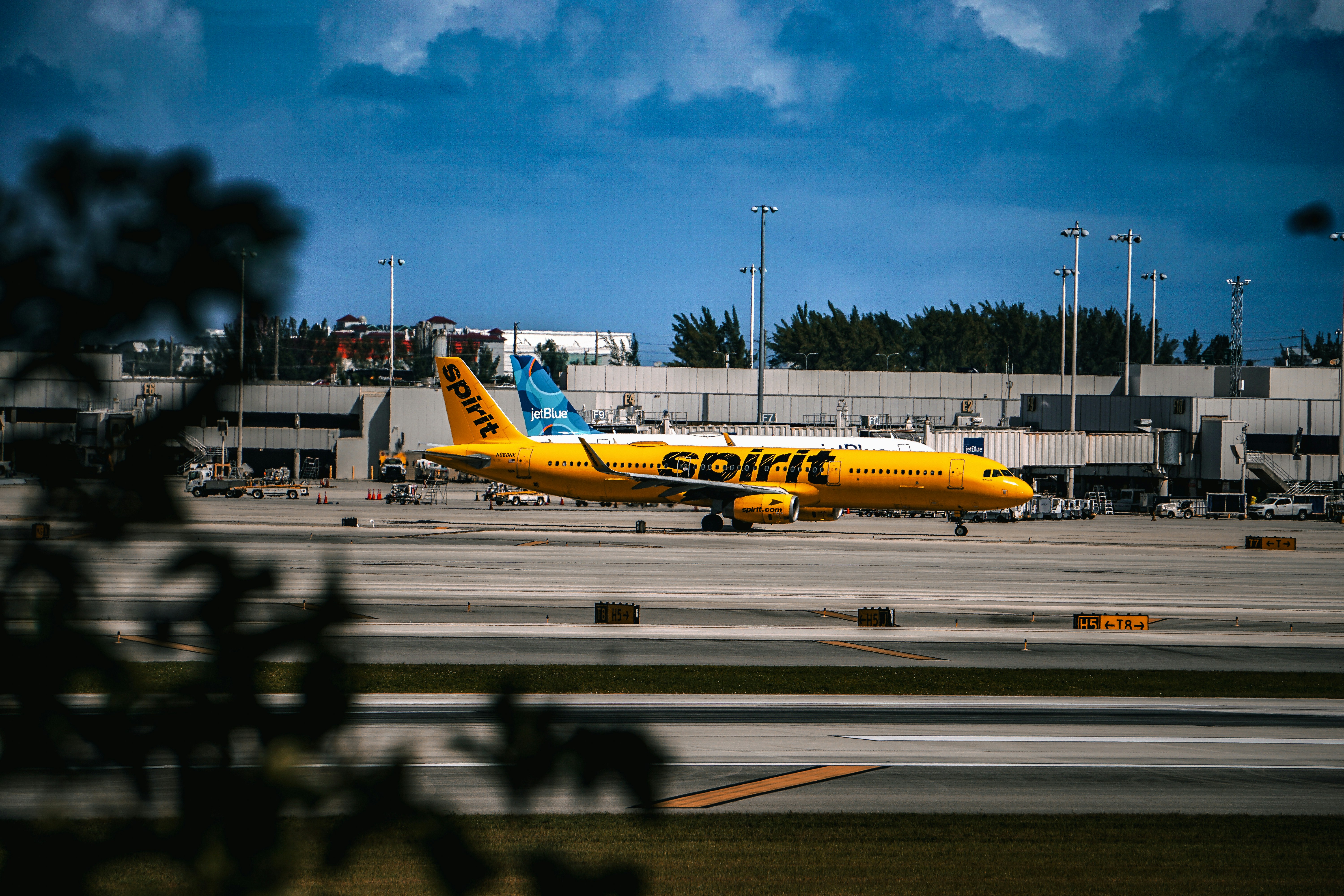A yellow and blue plane is on the runway, Spirit of the Runway A vibrant capture of a Spirit Airlines aircraft ready for takeoff, with a contrasting backdrop of clear skies and an airport terminal. The image embodies the energy and readiness of modern travels