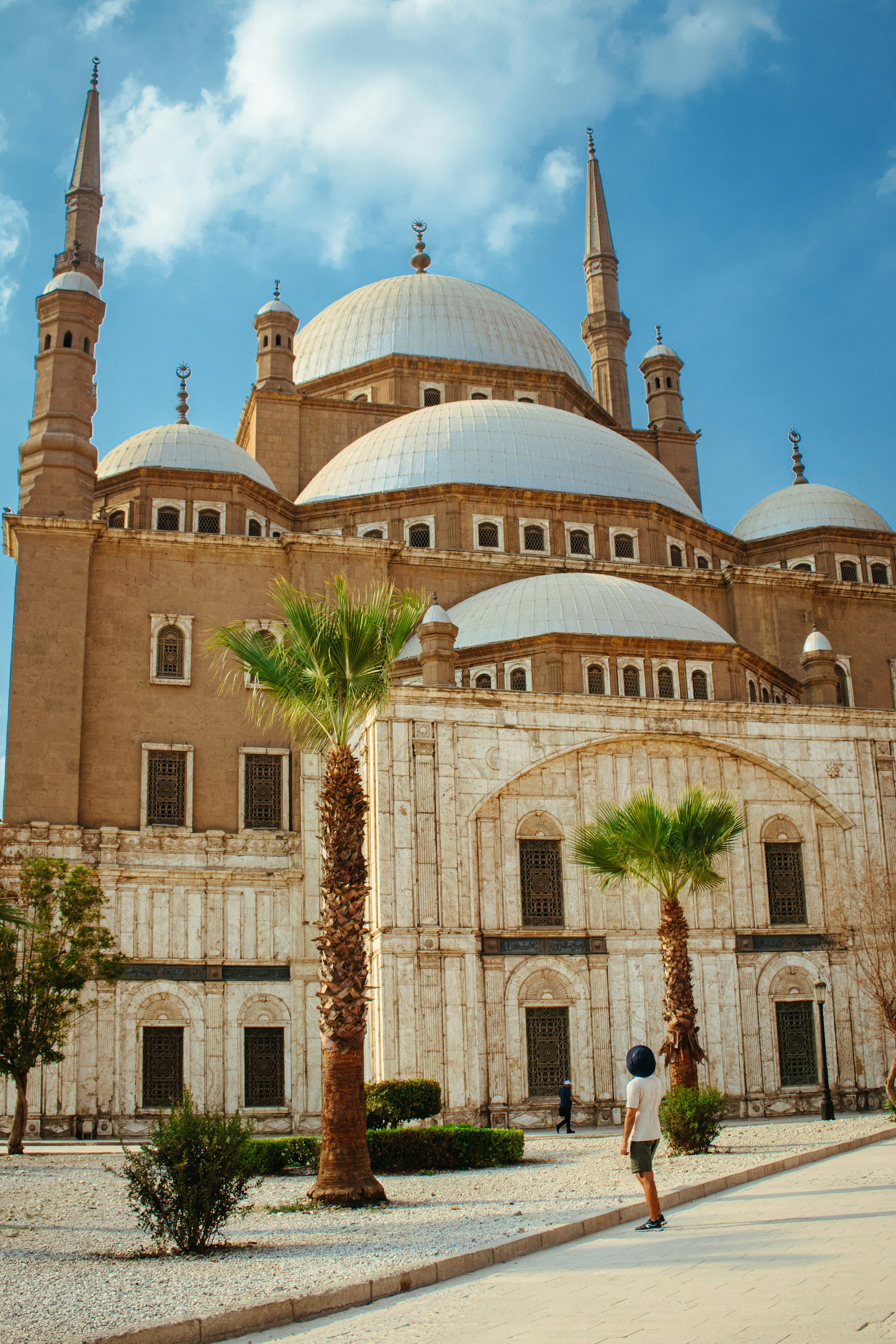 photo-1729815748810-dd5d3a1bbbeb?ixid=M3