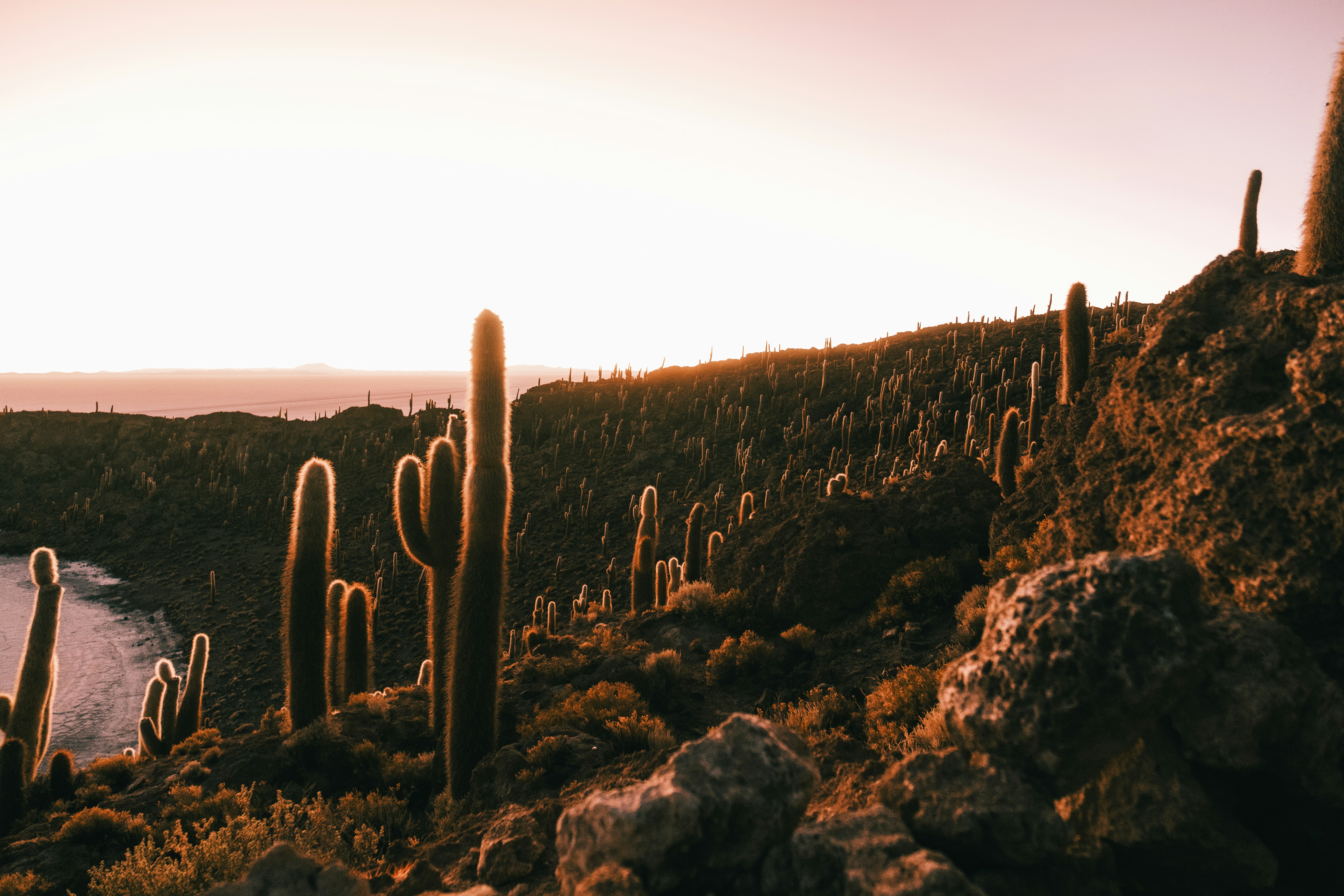 Photo by vanya_nichego