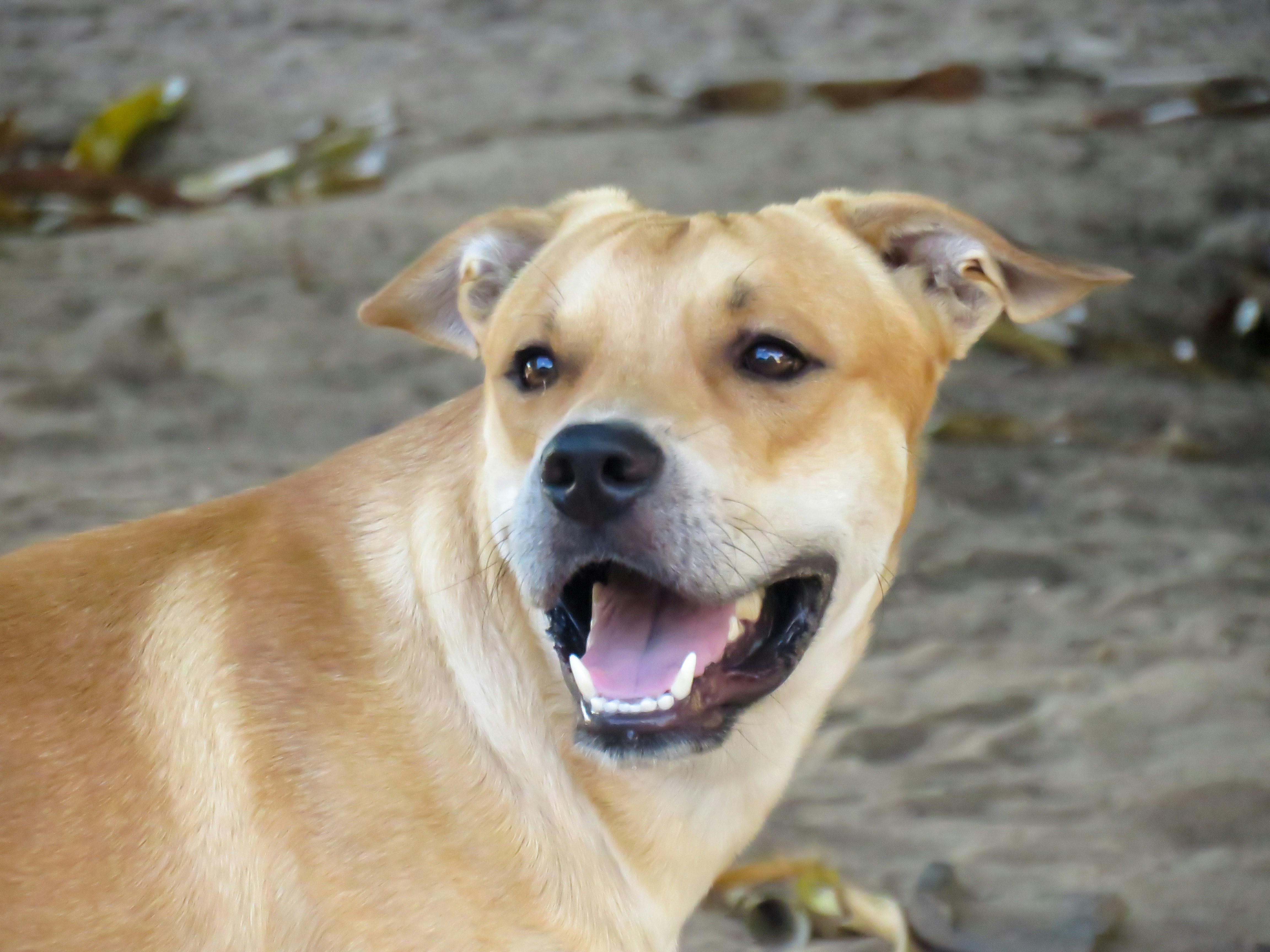 Photo by dienyportinanni