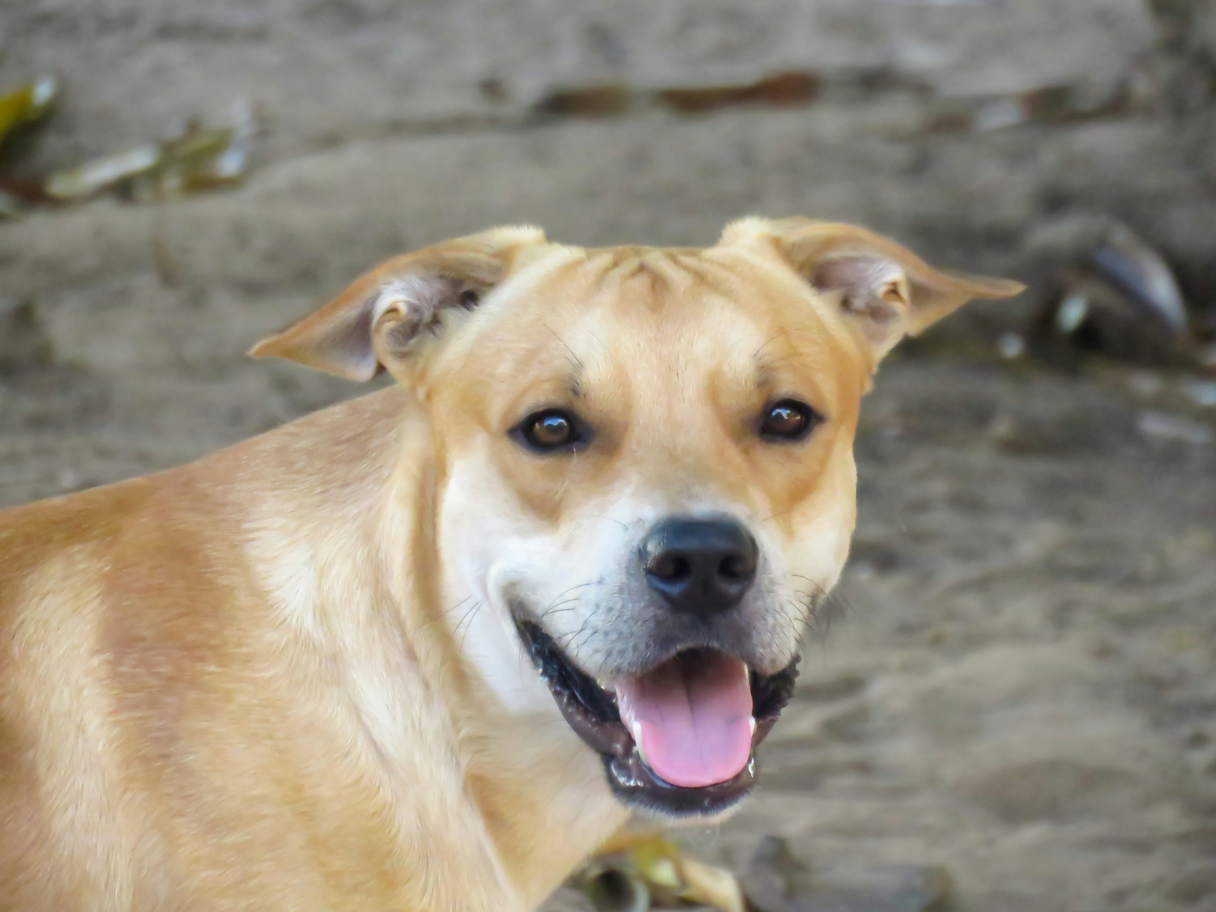 Photo by dienyportinanni