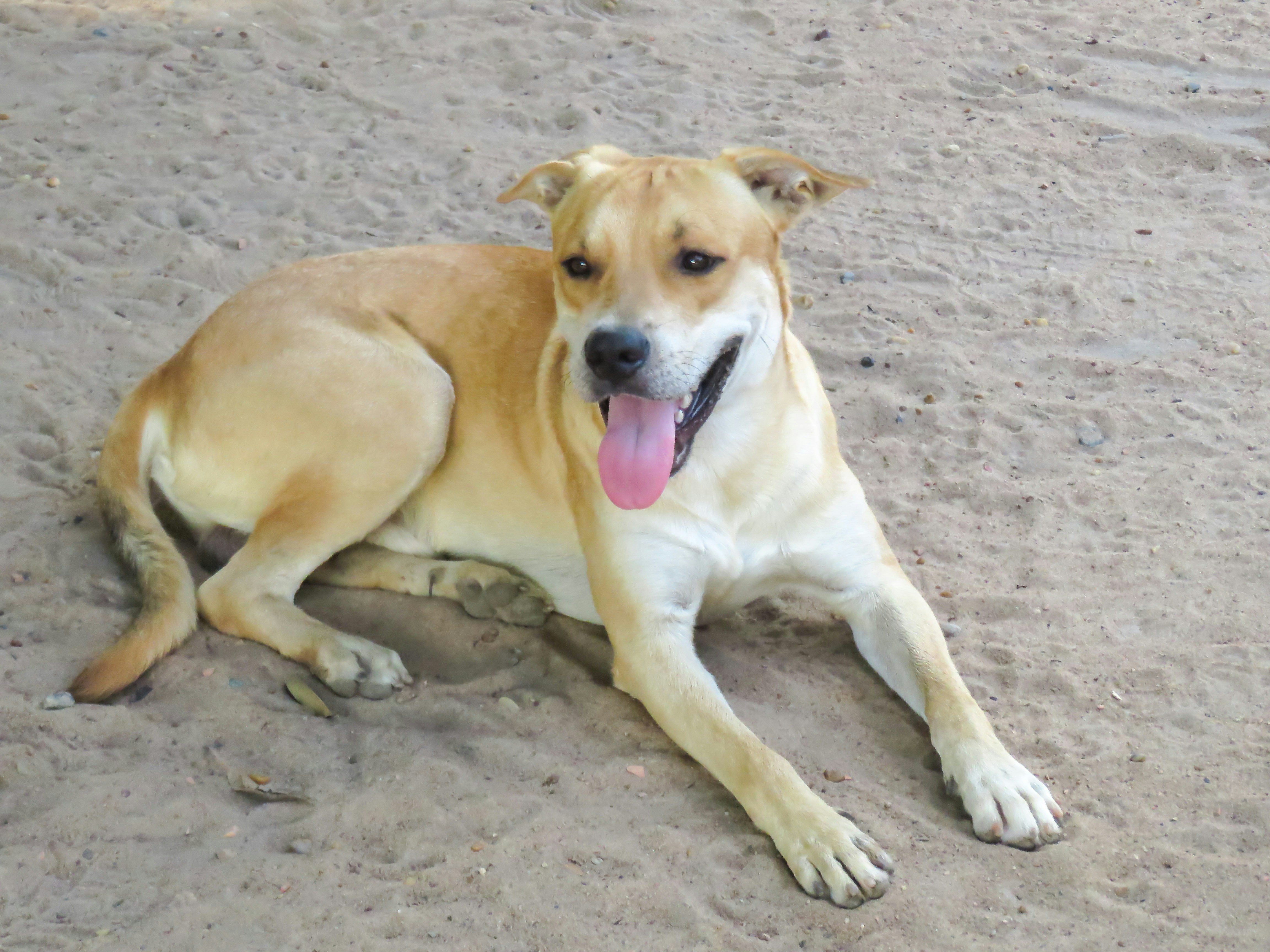 Photo by dienyportinanni