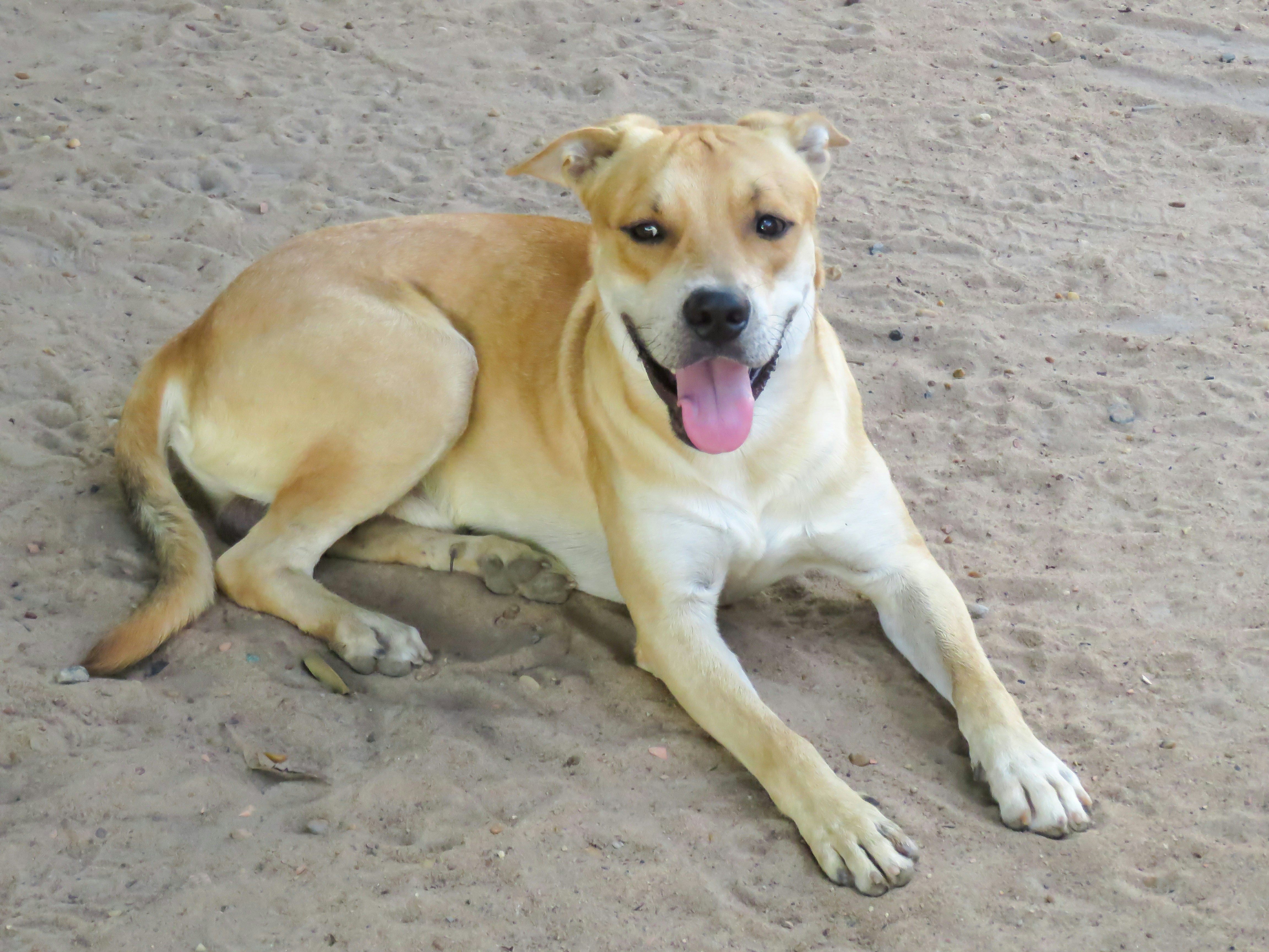 Photo by dienyportinanni