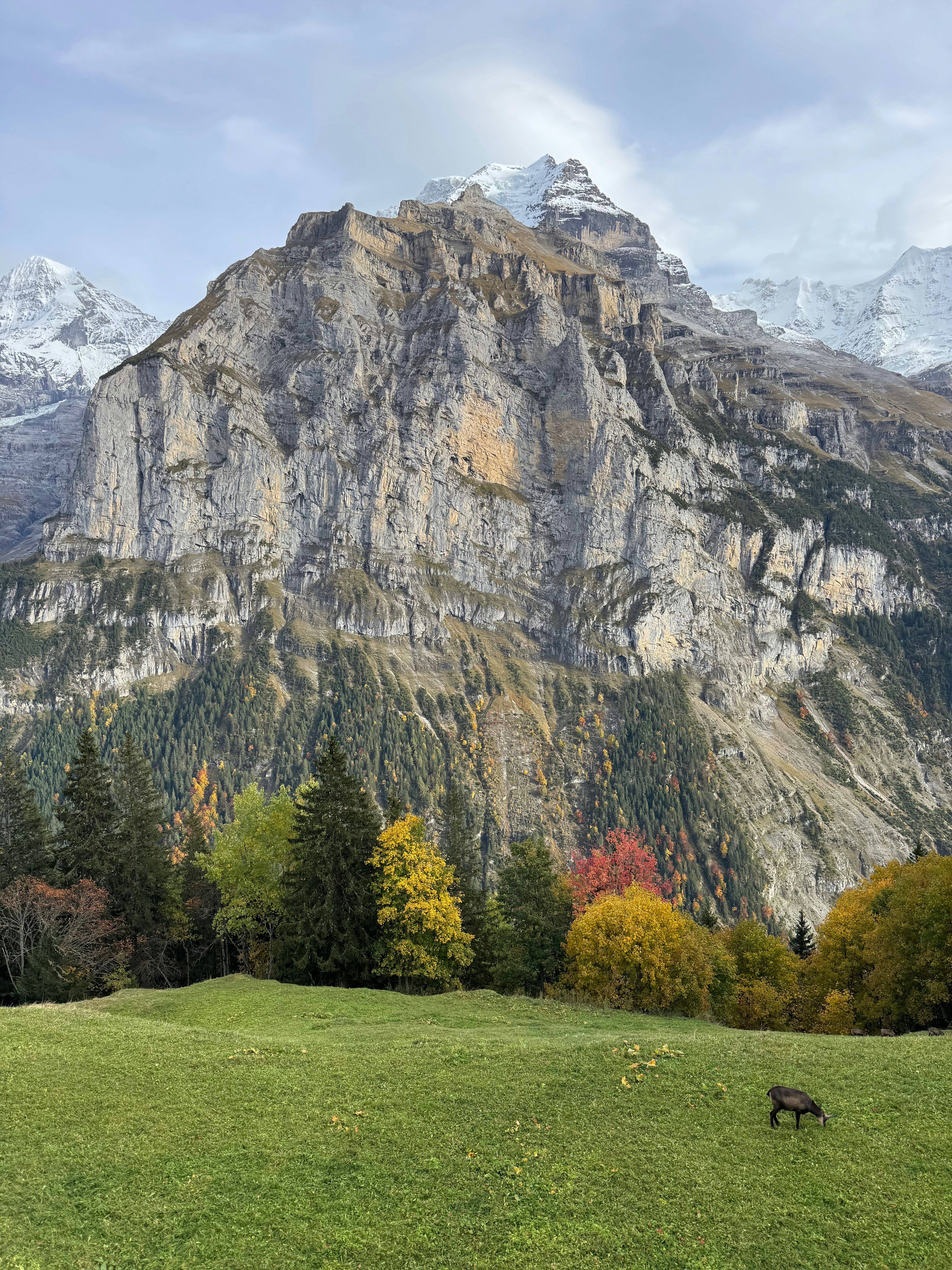 Photo by huntersellers