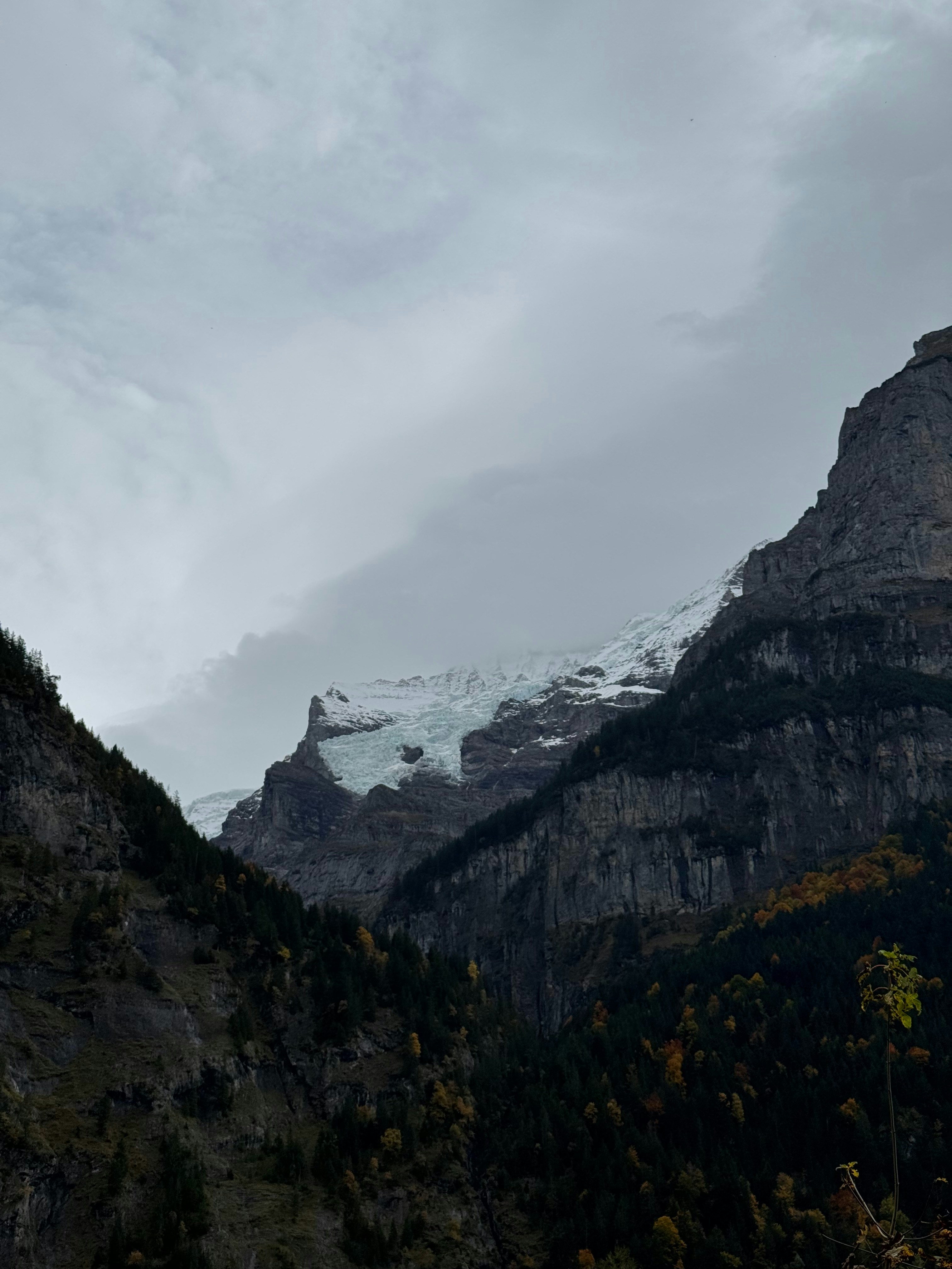 Photo by huntersellers