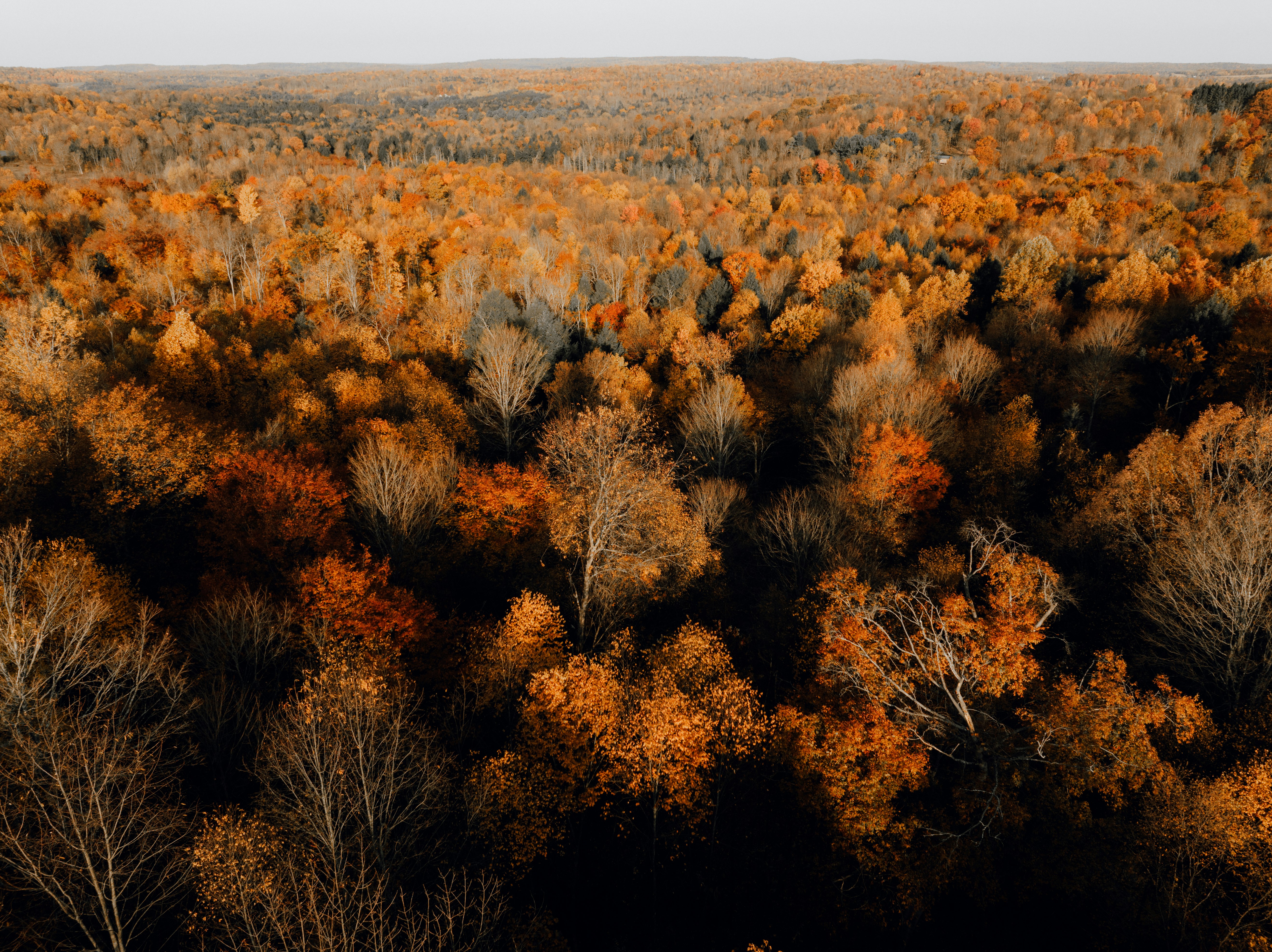 Daily Productive Sharing 1097 - Learning to Learn