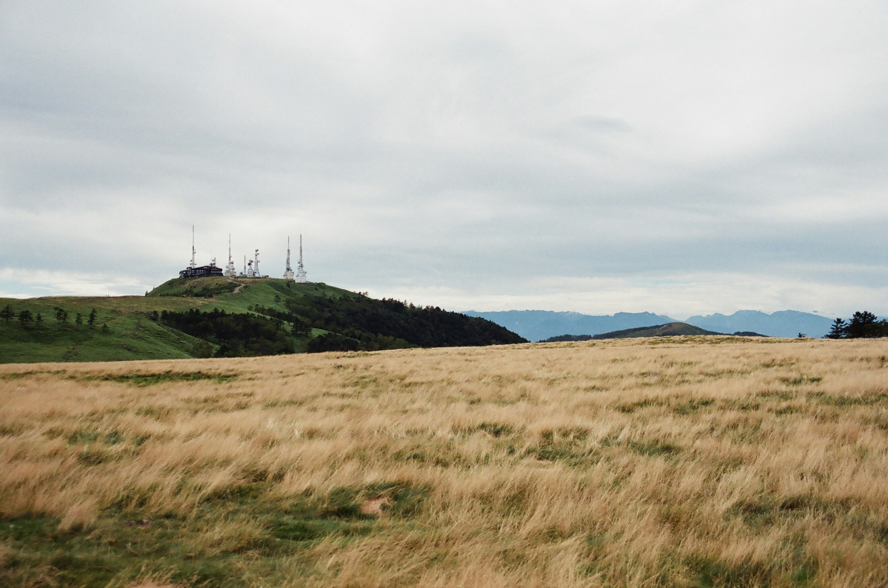 Photo by mioitophotography