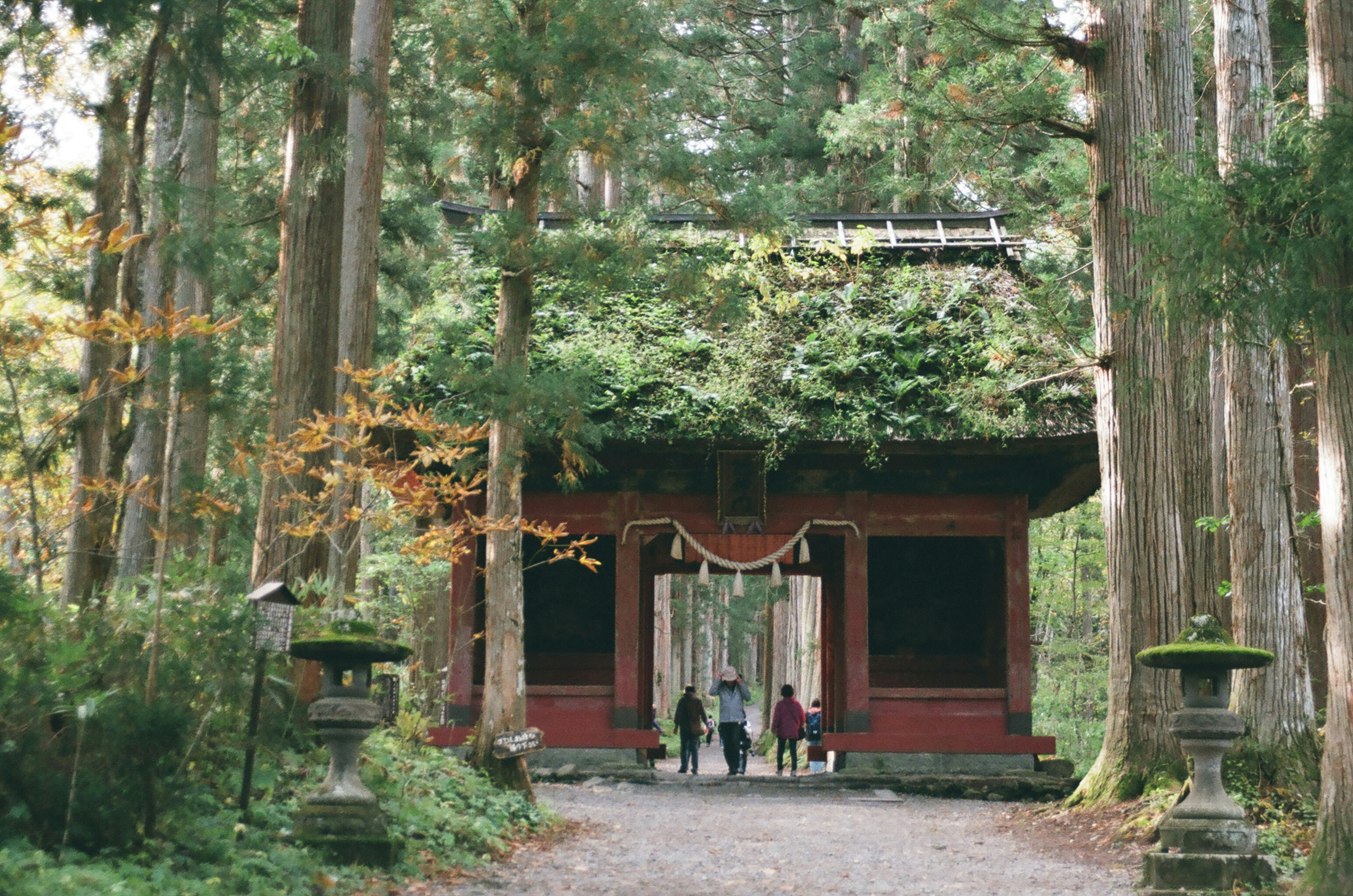 A group of people standing in front of a forest