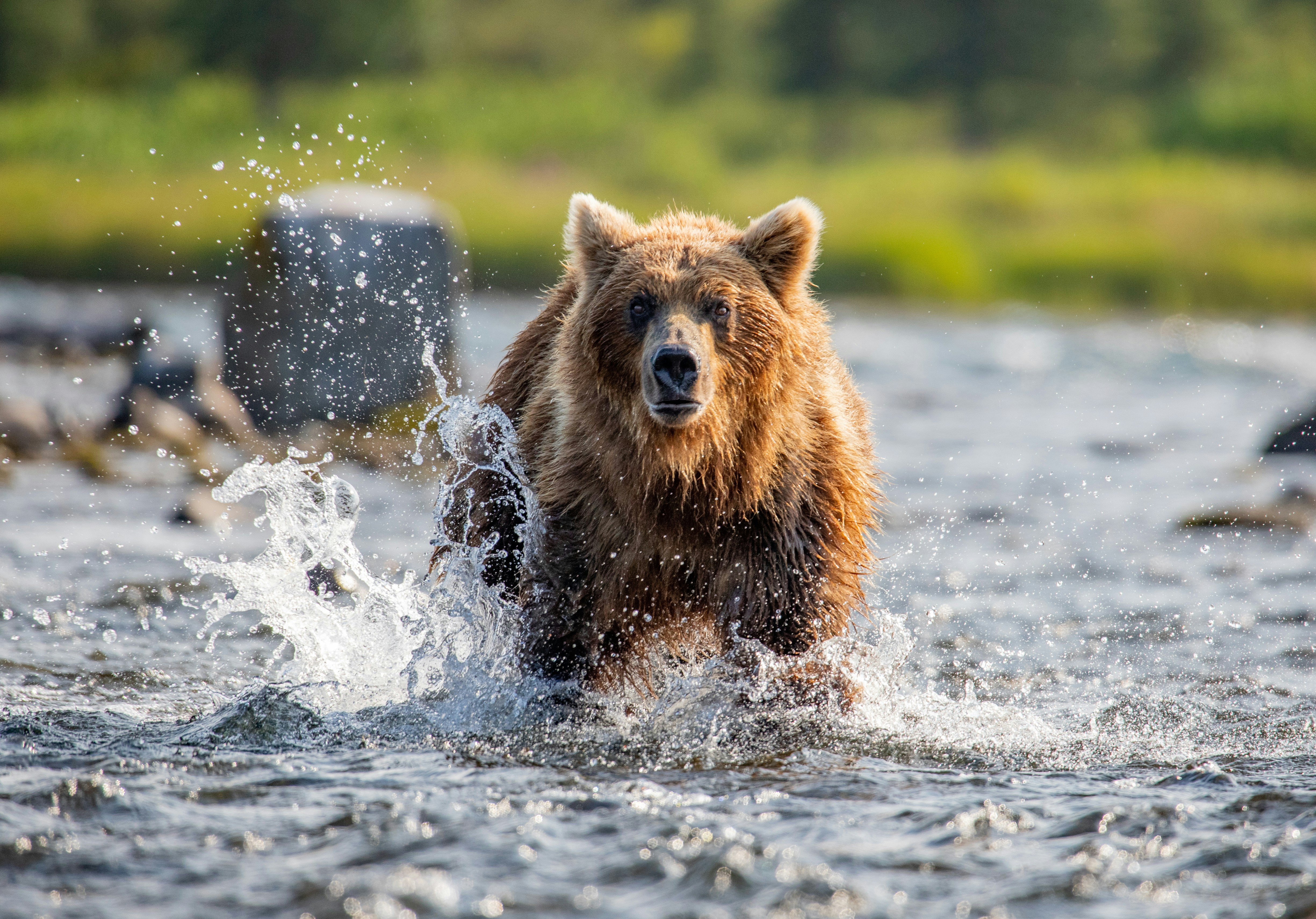 Echoes in Modern Alaska (image credits: unsplash)
