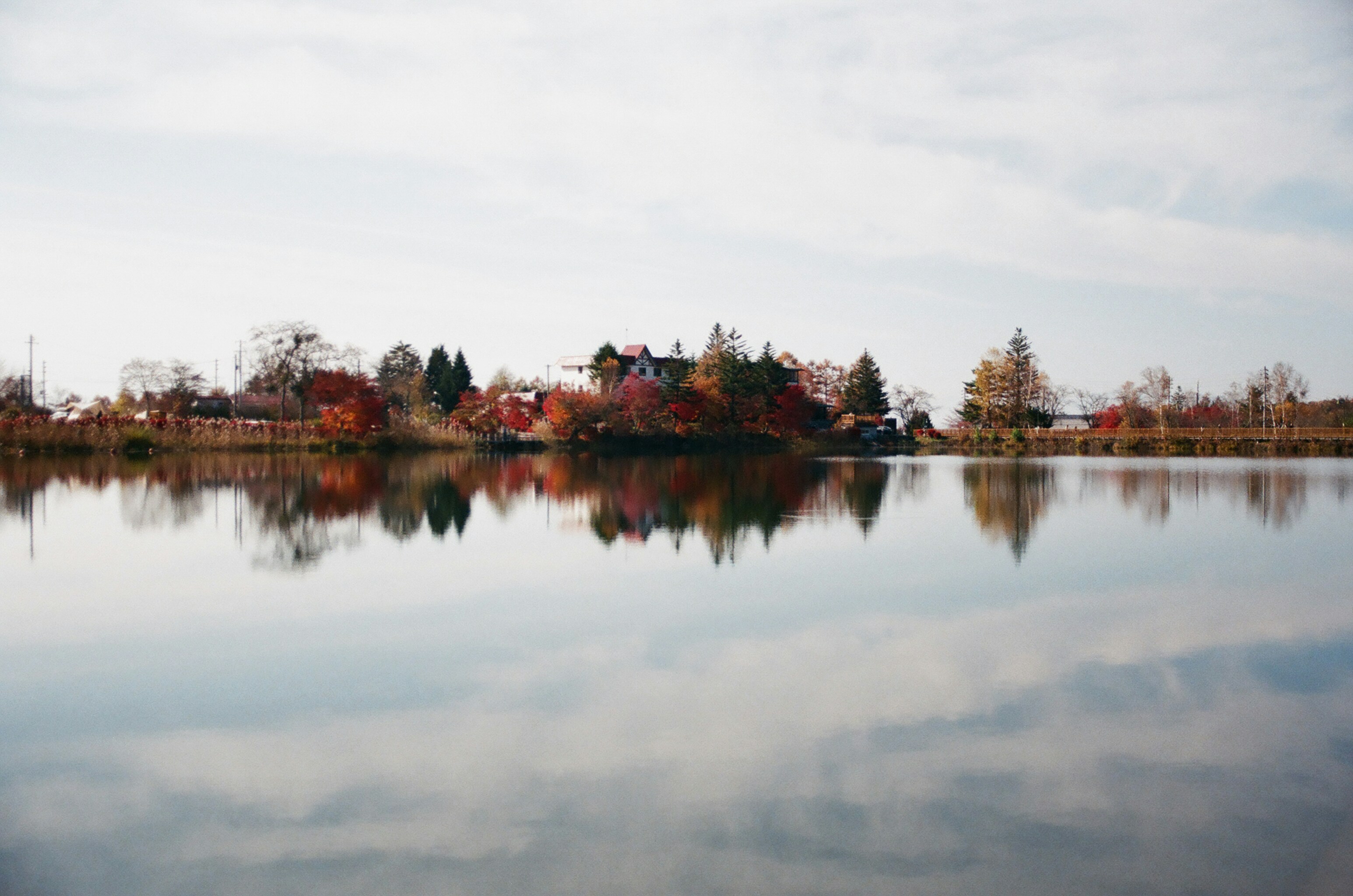 Photo by mioitophotography