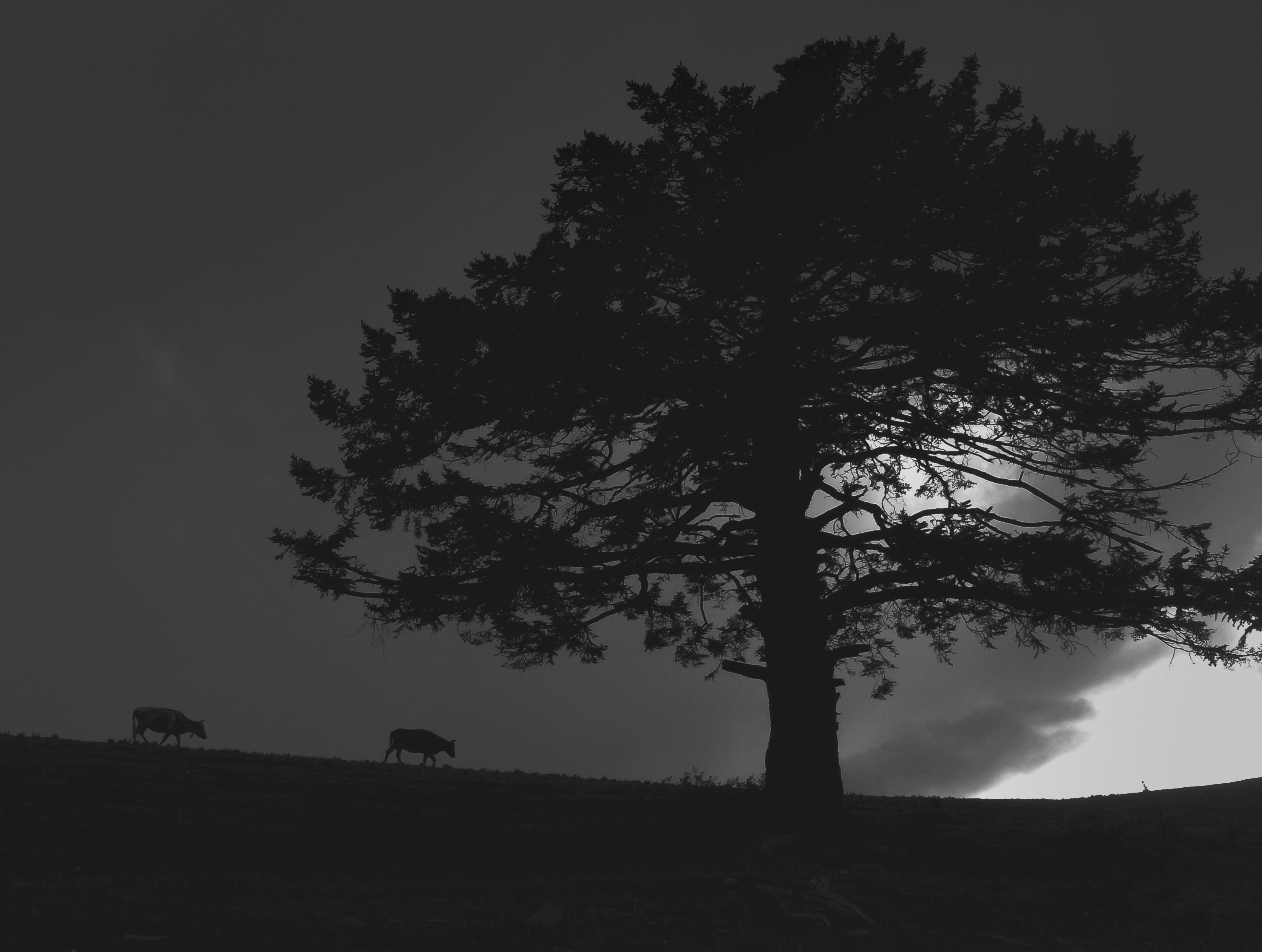 Photo by ethanphoto24