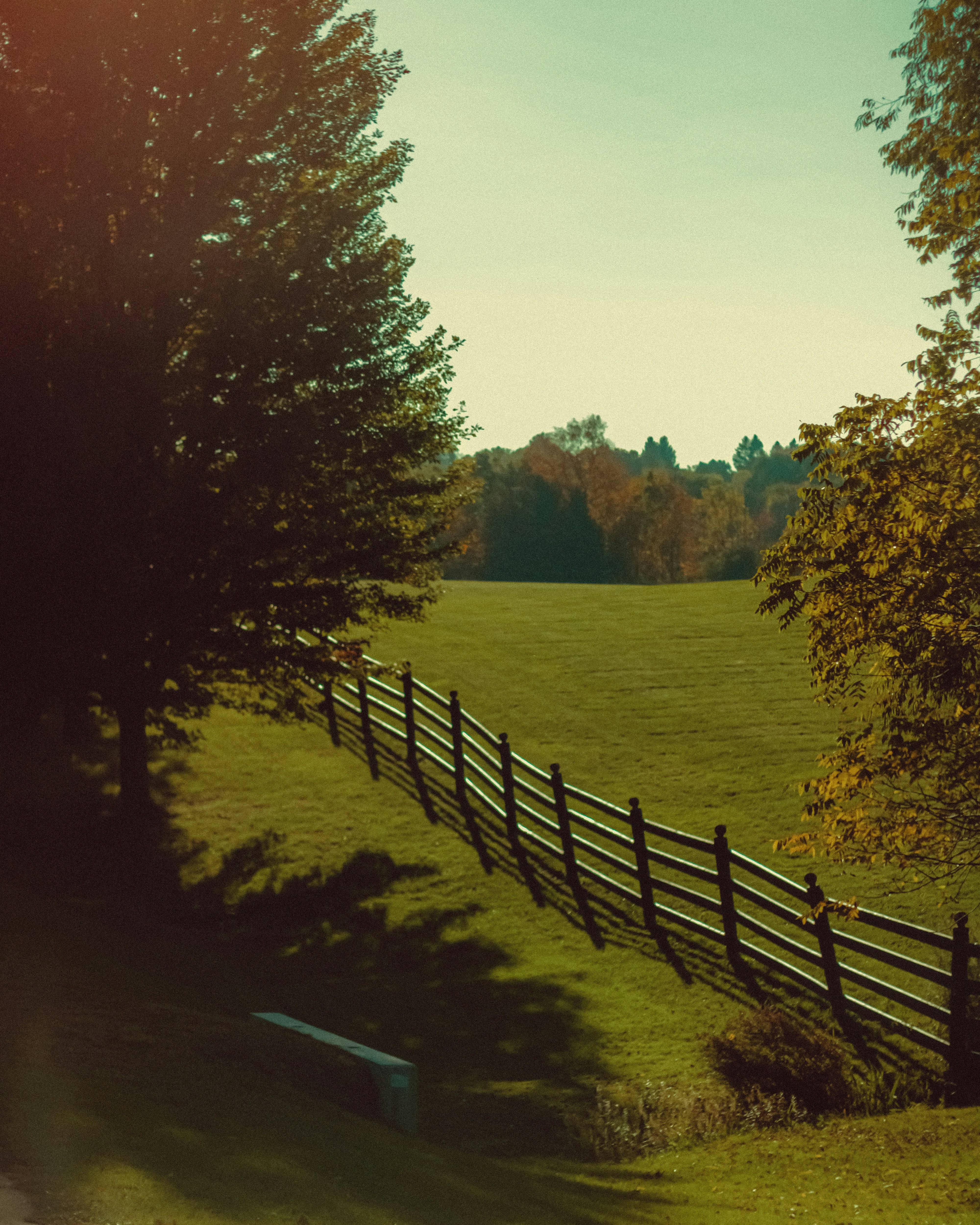Photo by linusbelanger