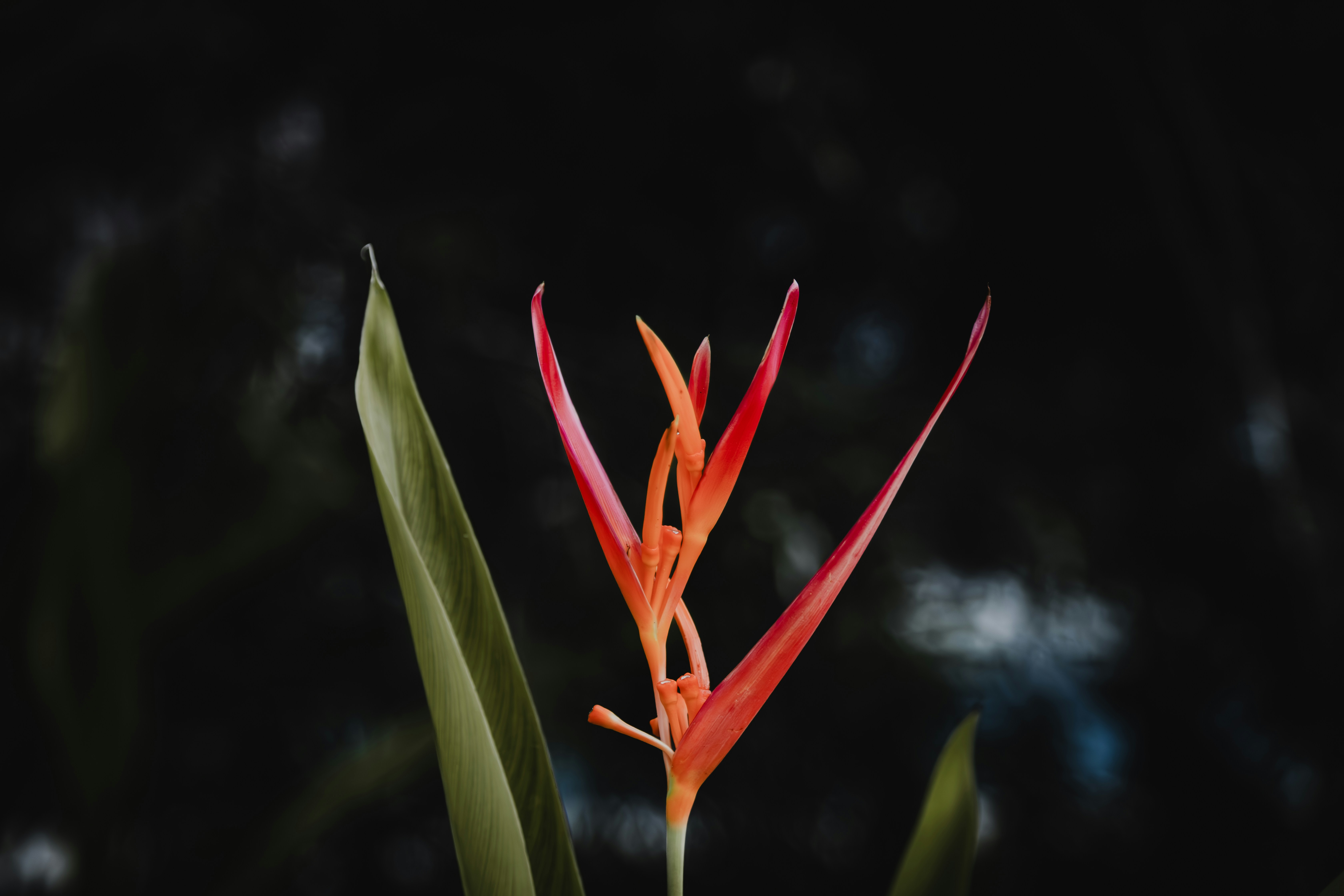 Photo by gilleyaguilar