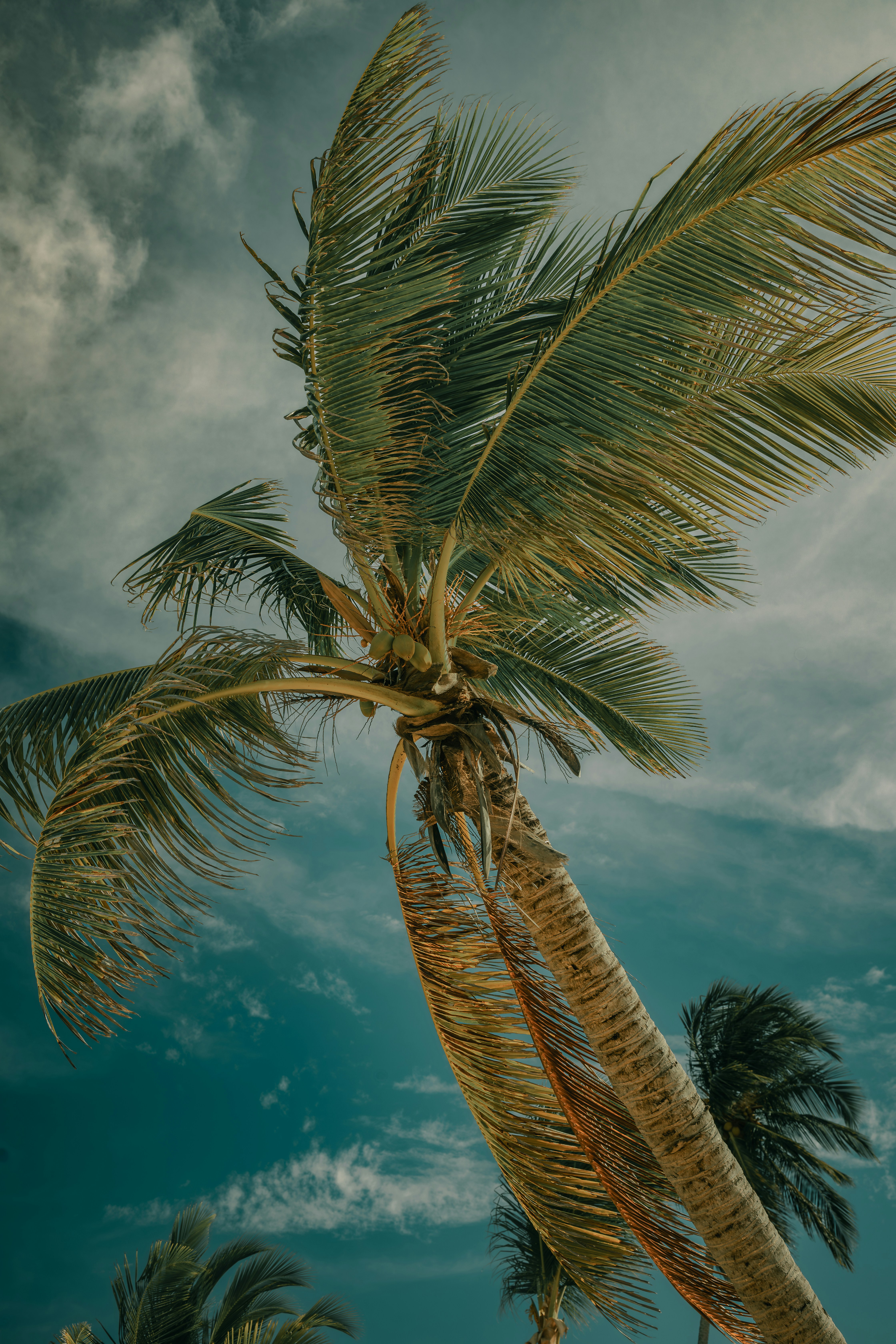 Photo by gilleyaguilar