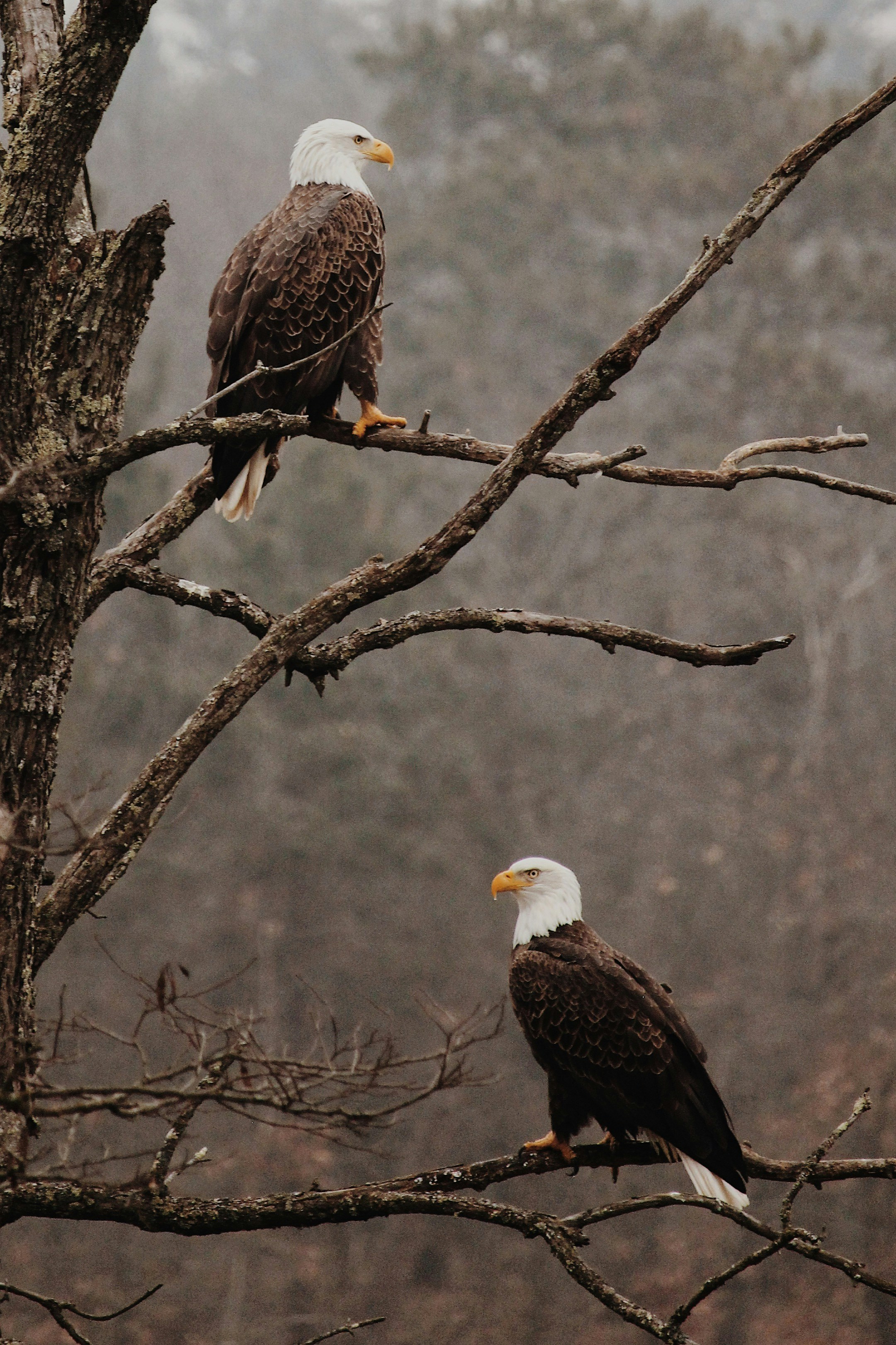 Photo by omarbotello