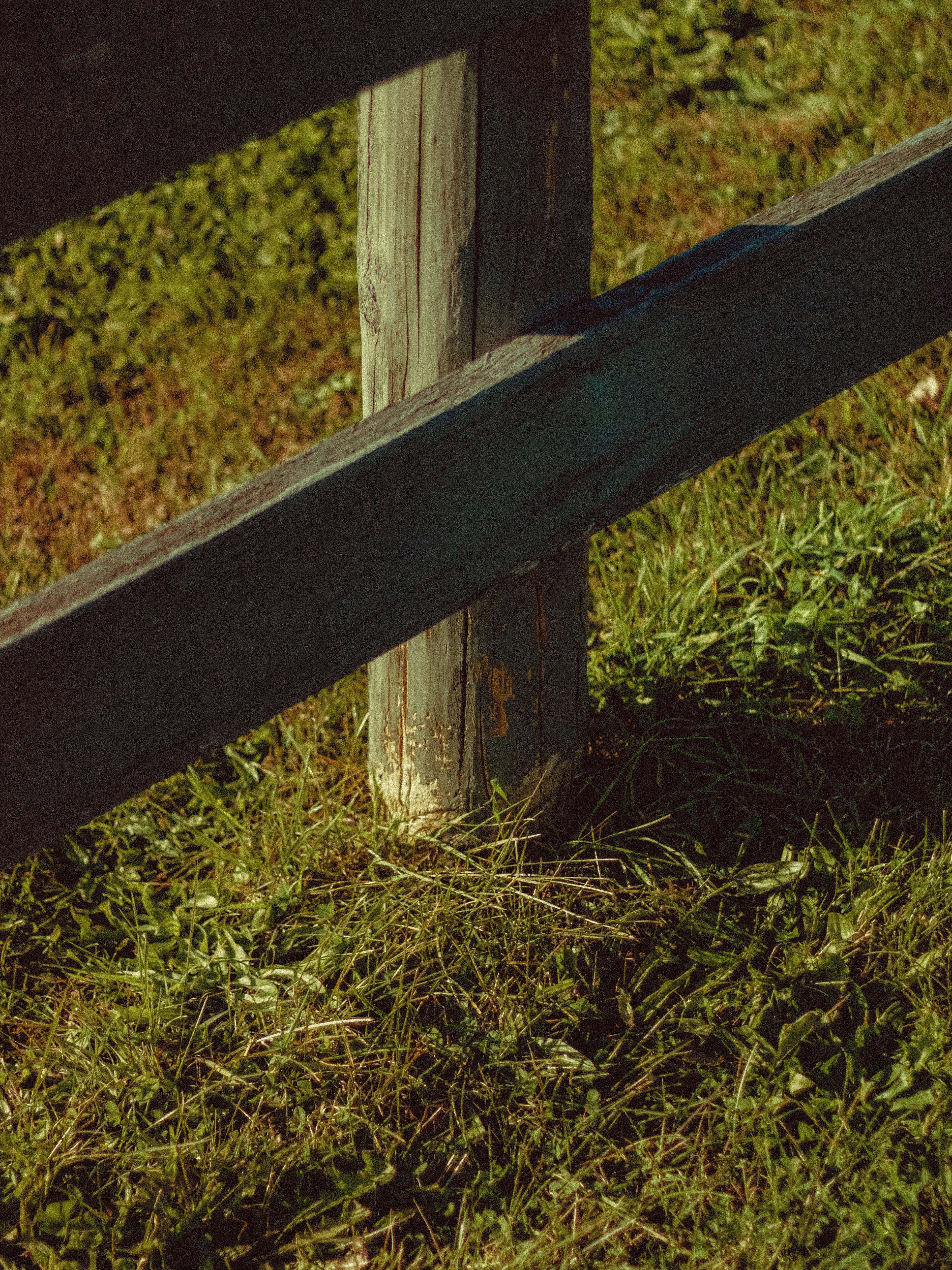 Photo by linusbelanger