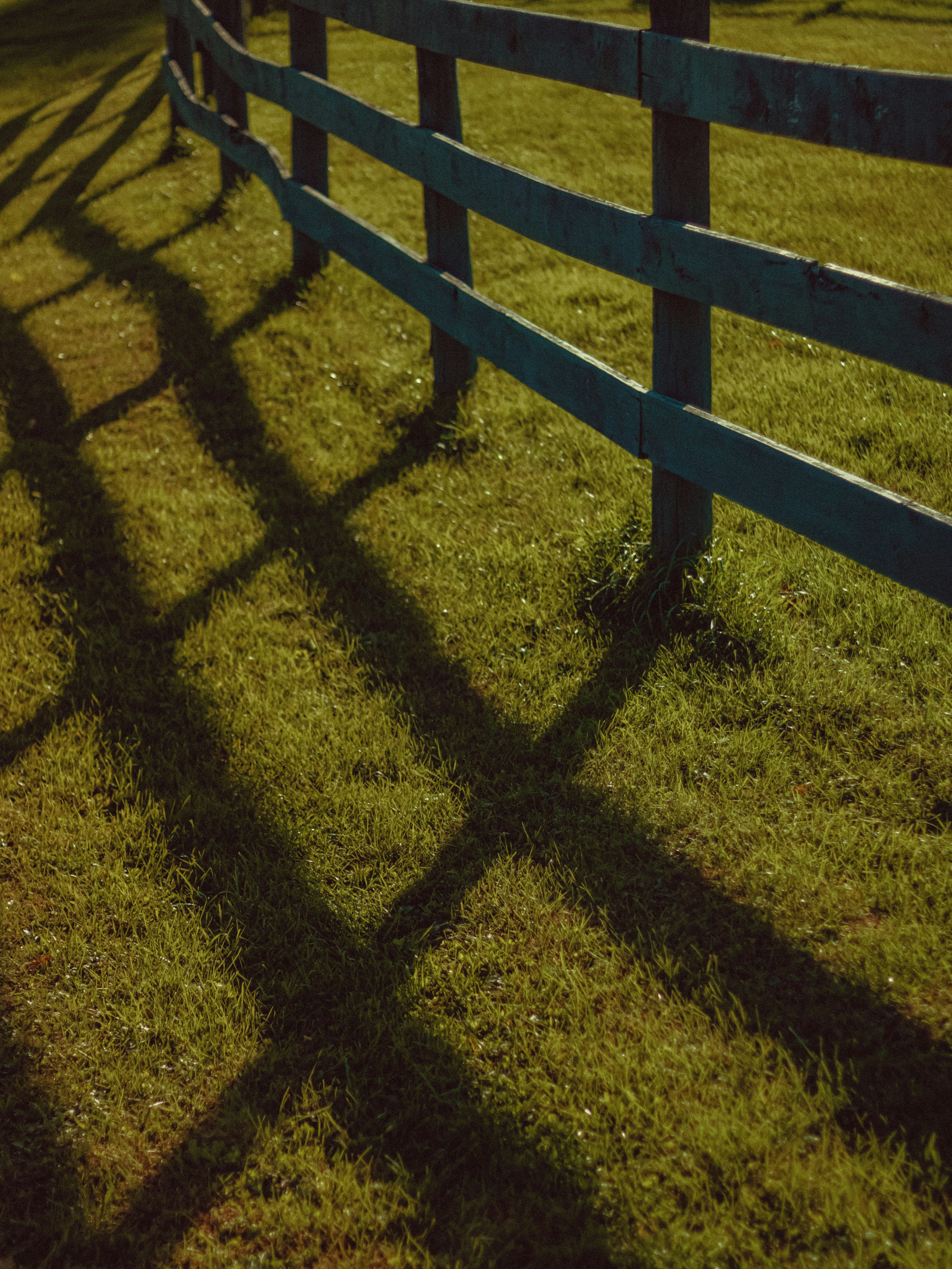 Photo by linusbelanger