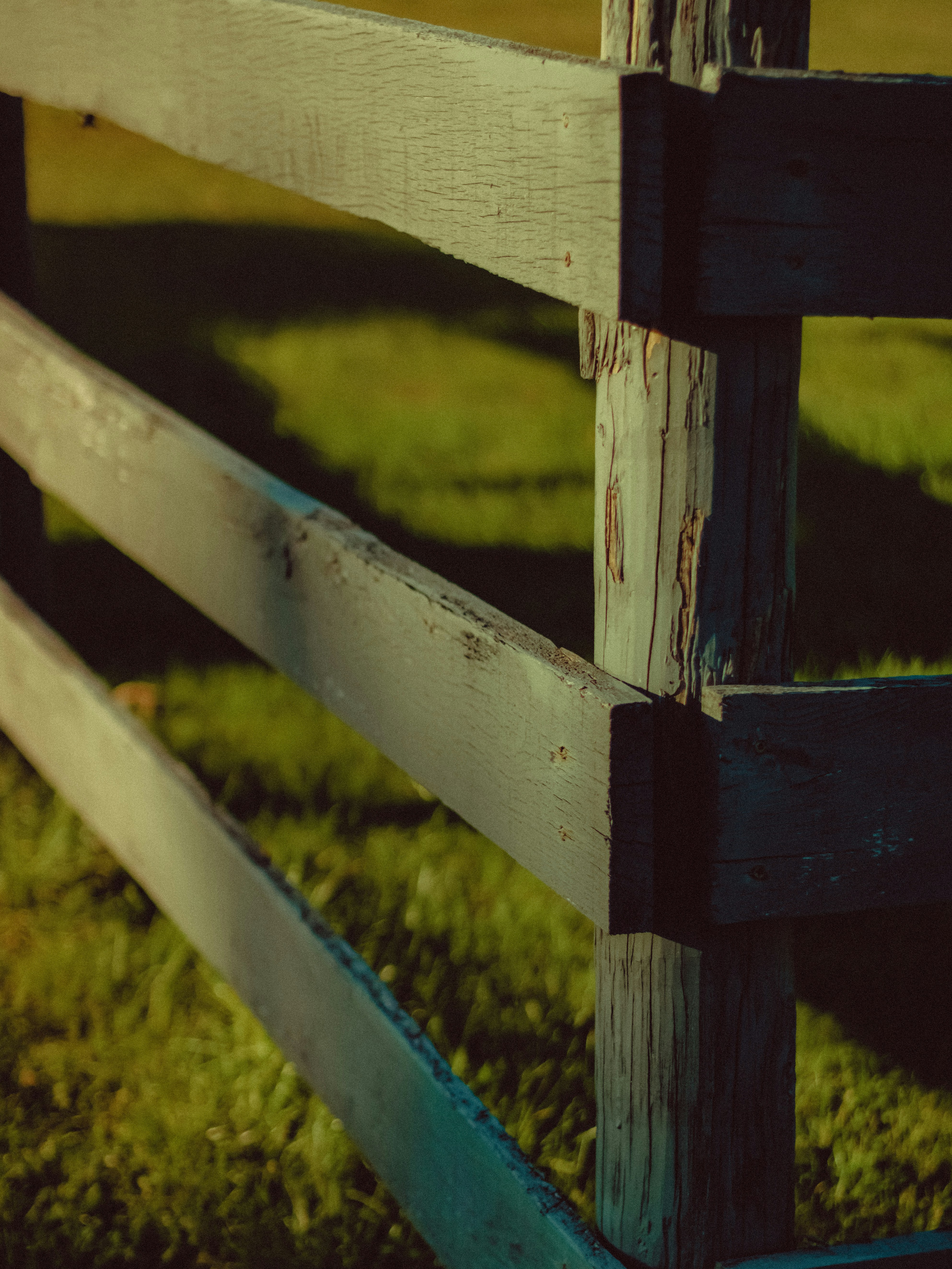 Photo by linusbelanger