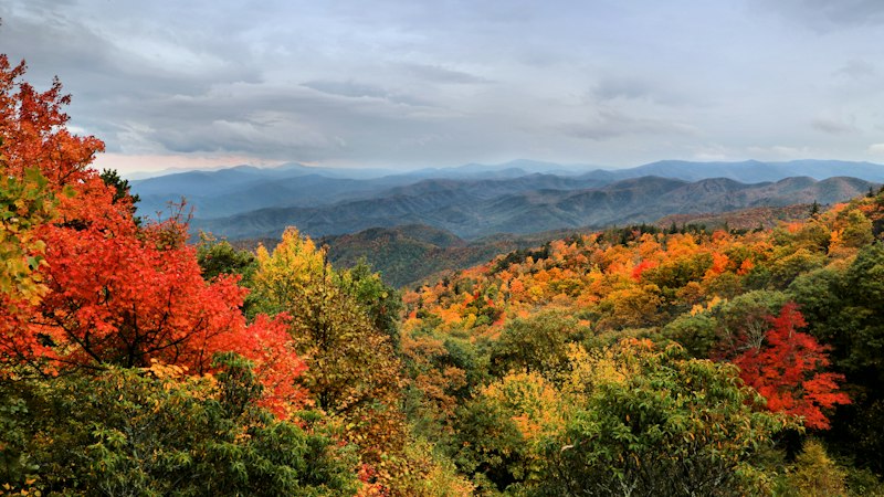 Red and orange maples in the foreground of a forested ridge, with layered blue mountains fading under a gray autumn sky