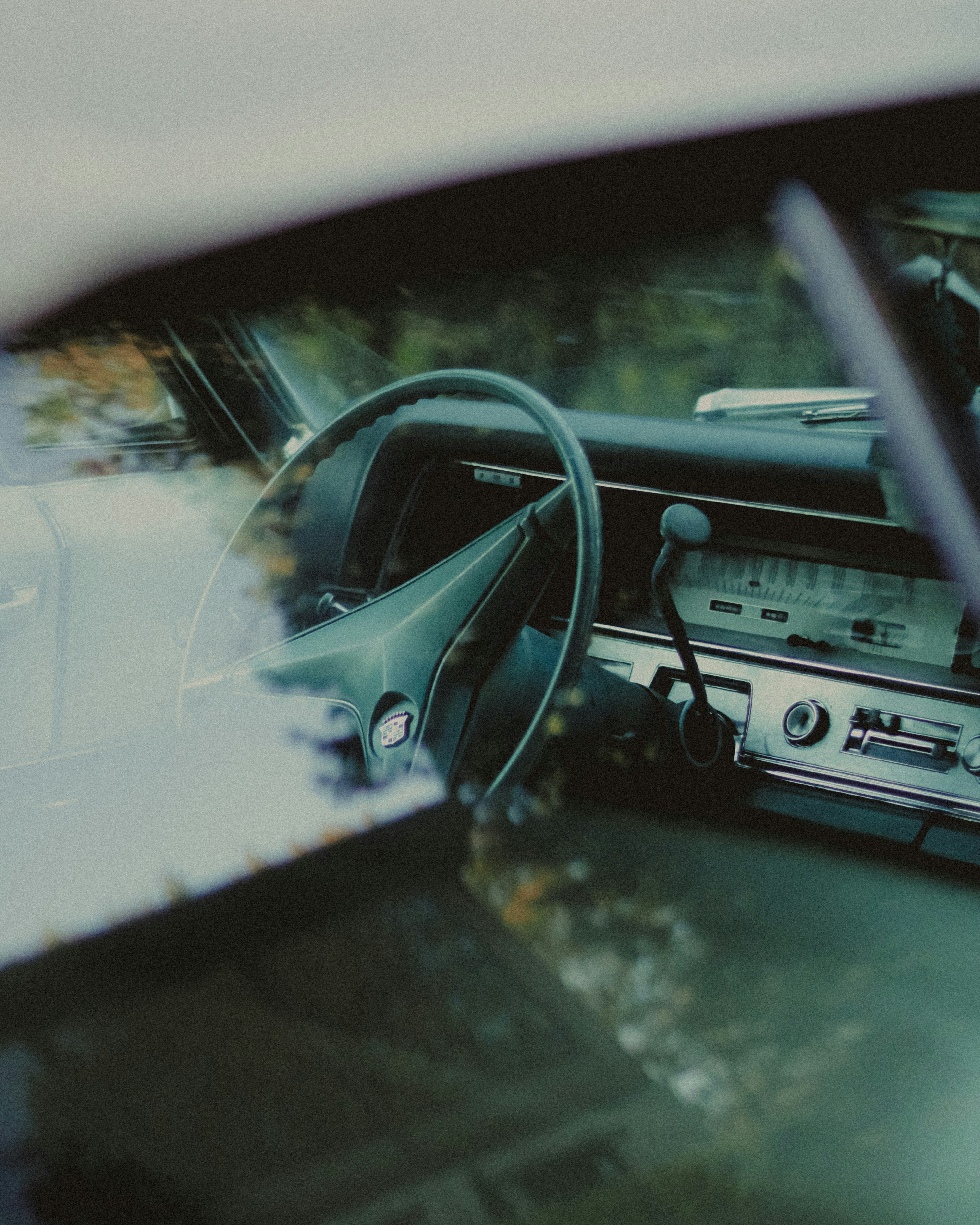 Photo by linusbelanger