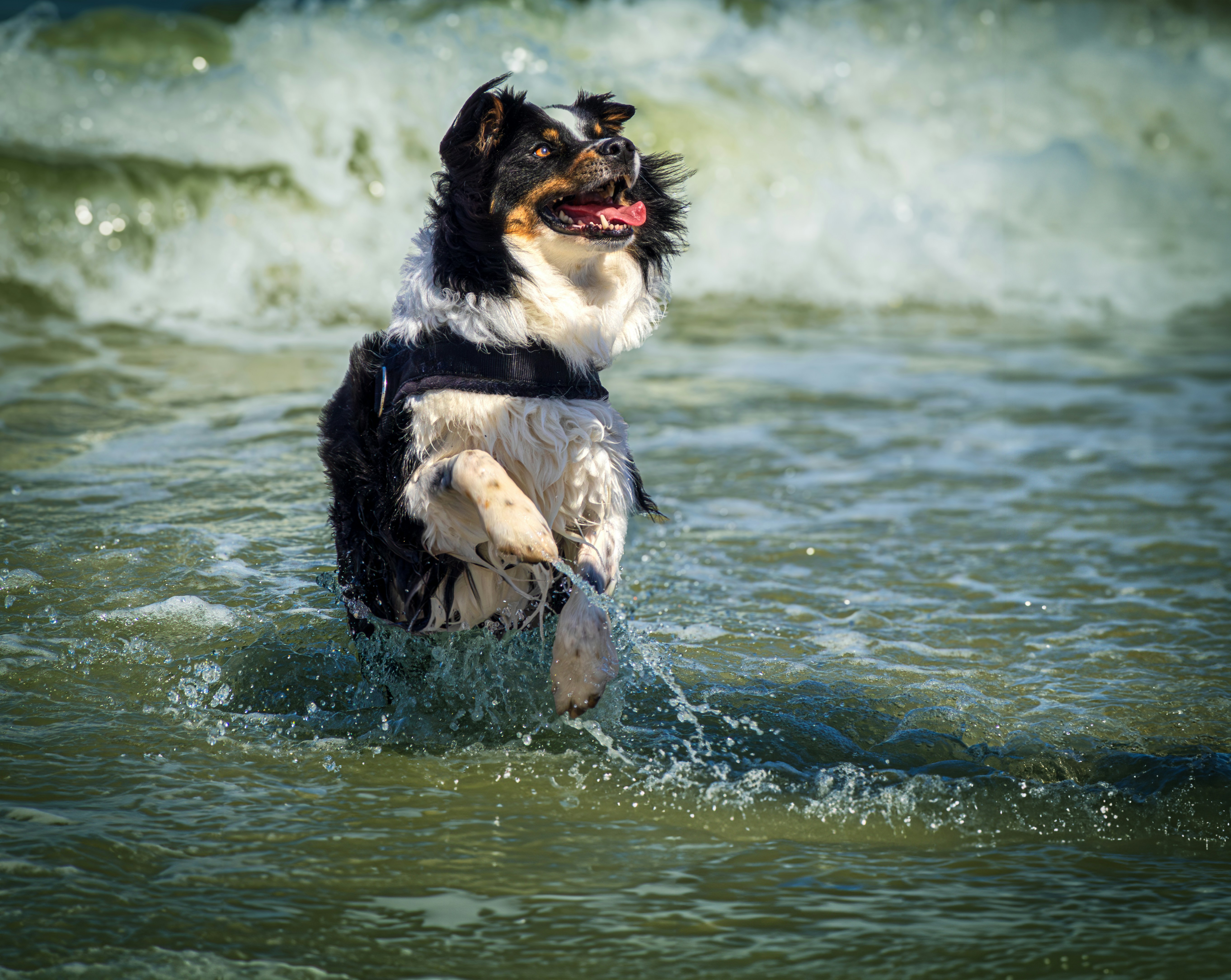 Photo by heino_120206