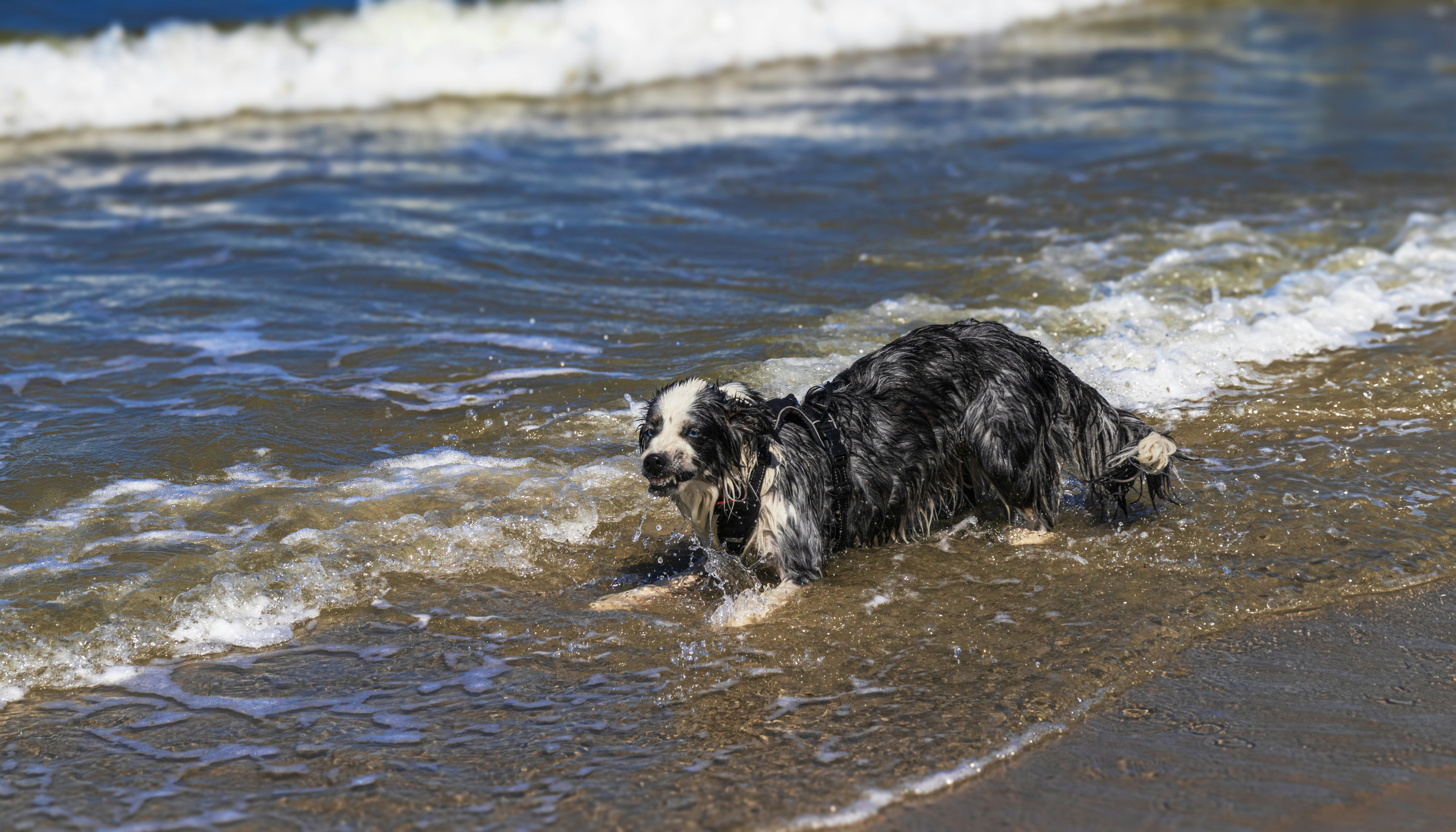 Photo by heino_120206