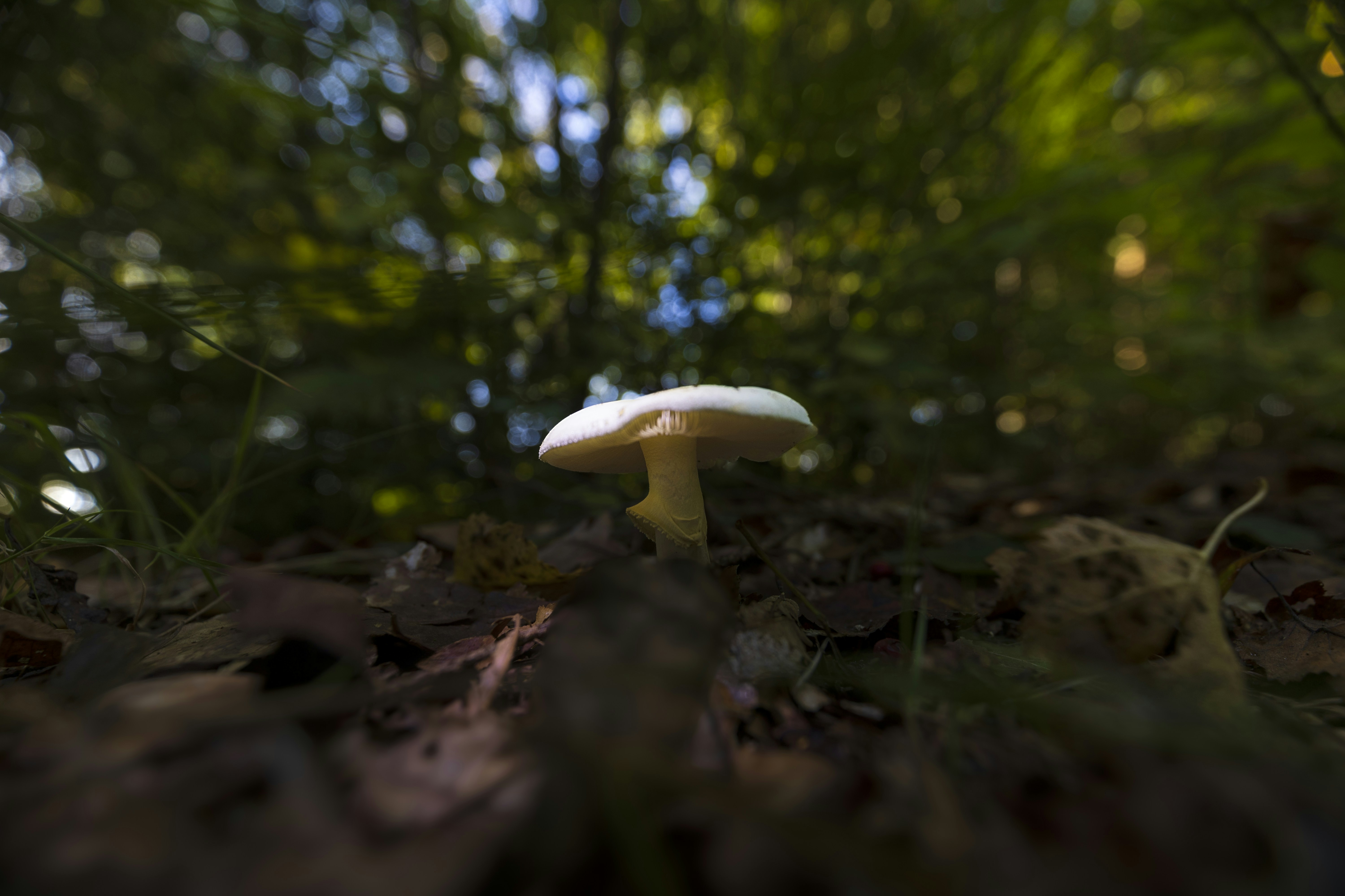 Photo by heino_120206