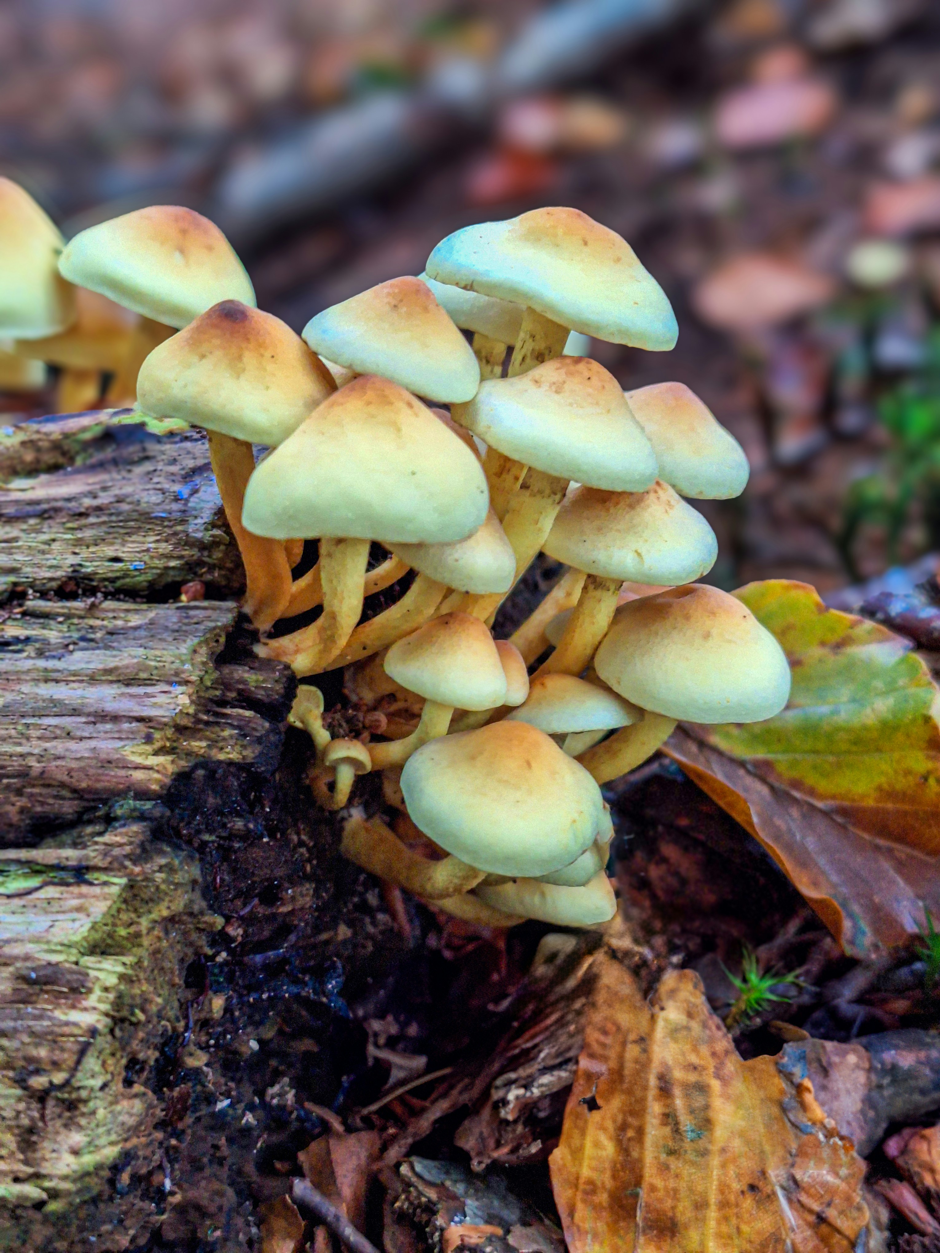 Photo by heino_120206