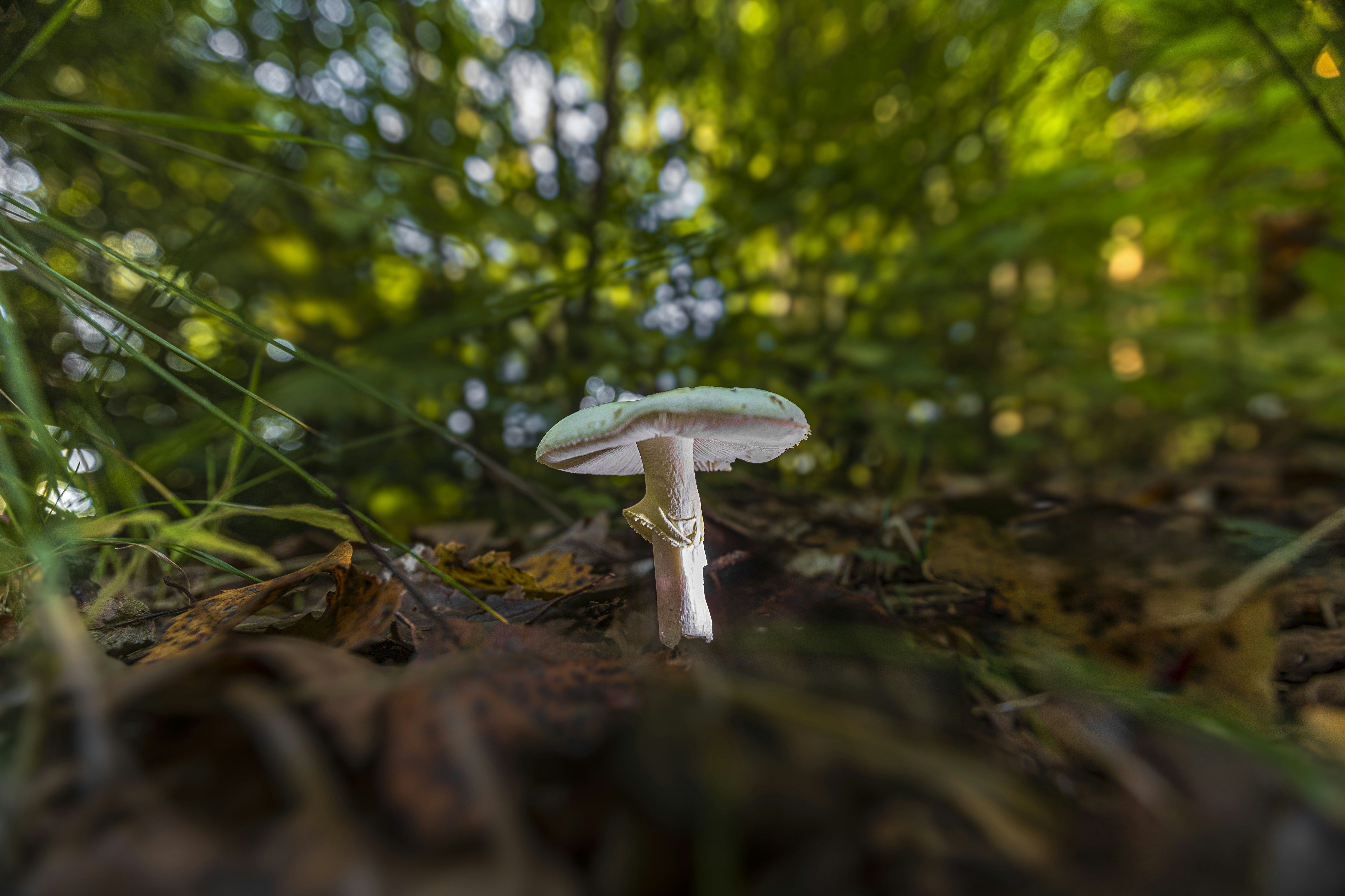 Photo by heino_120206