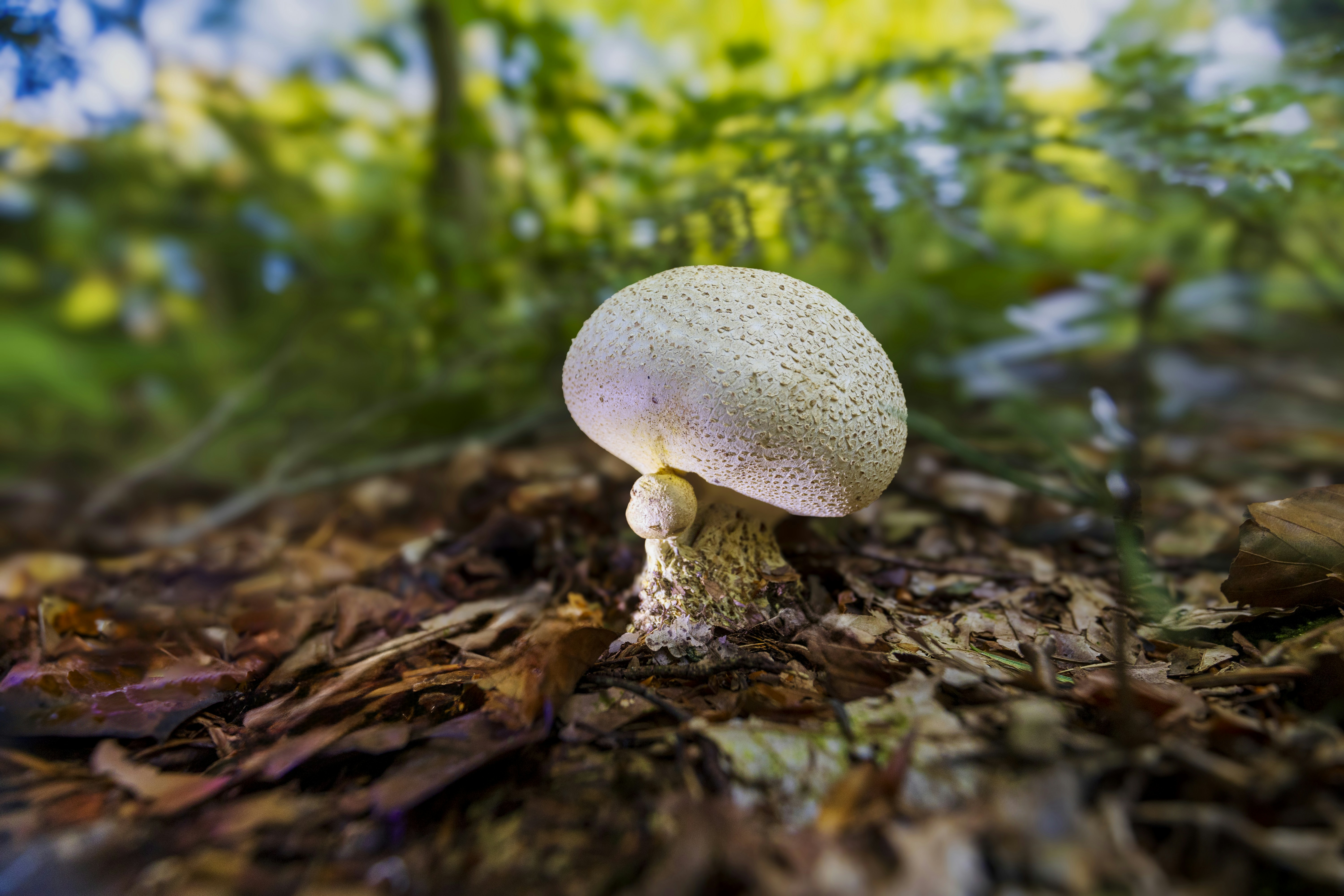 Photo by heino_120206