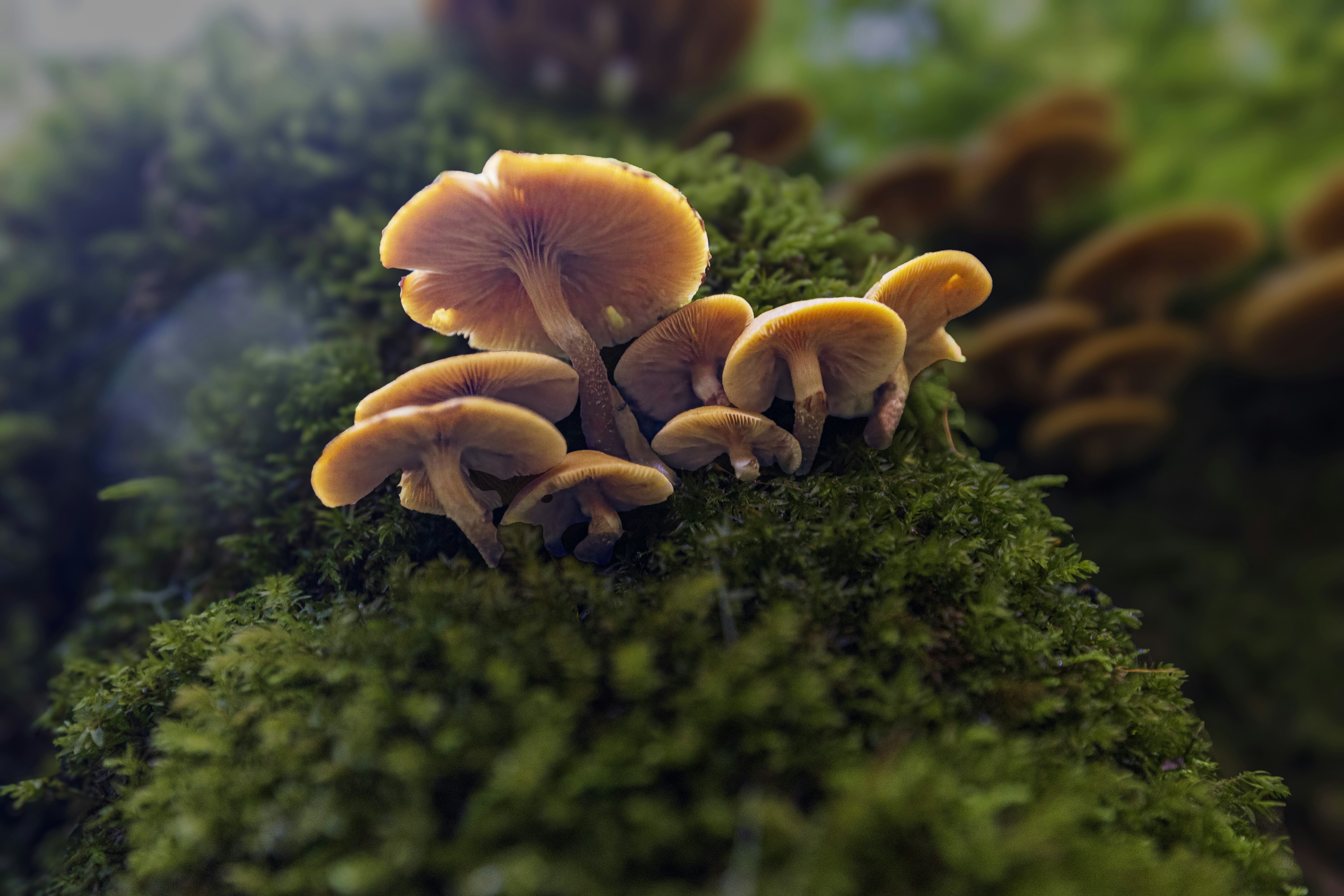 Photo by heino_120206