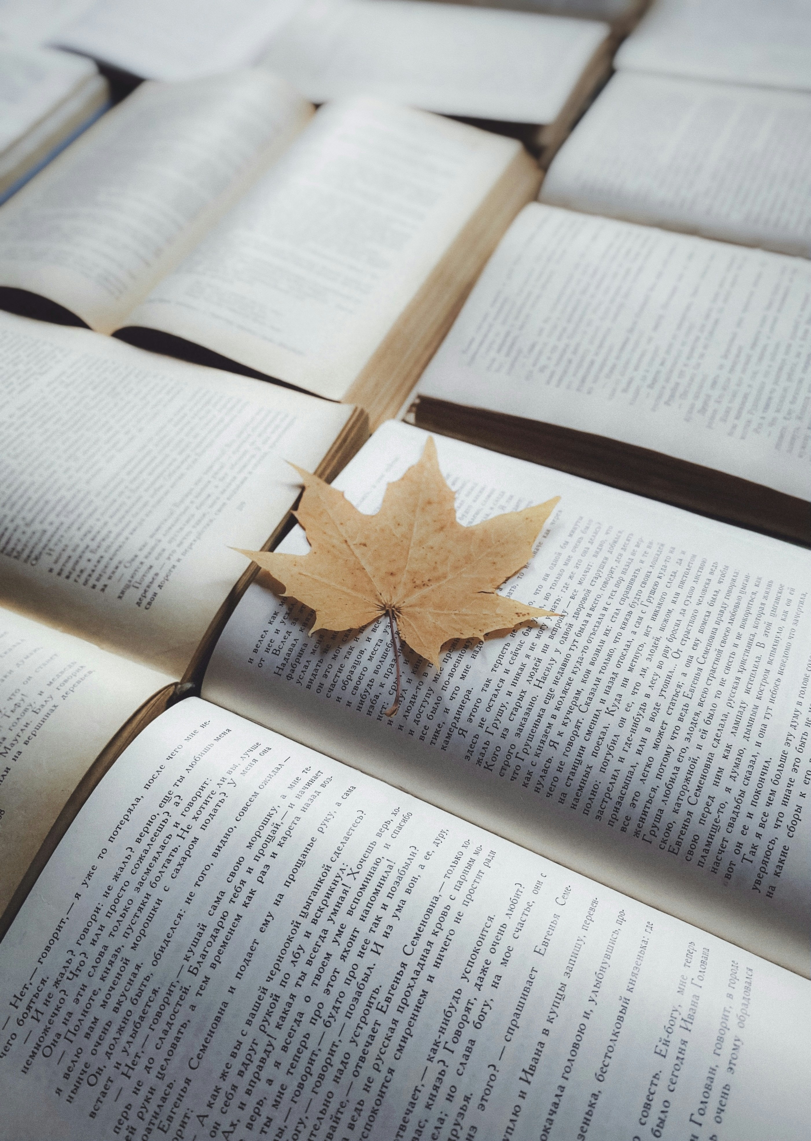 Un libro con una hoja encima foto – Imagen de Libro gratuita en Unsplash, image size:3000x4218