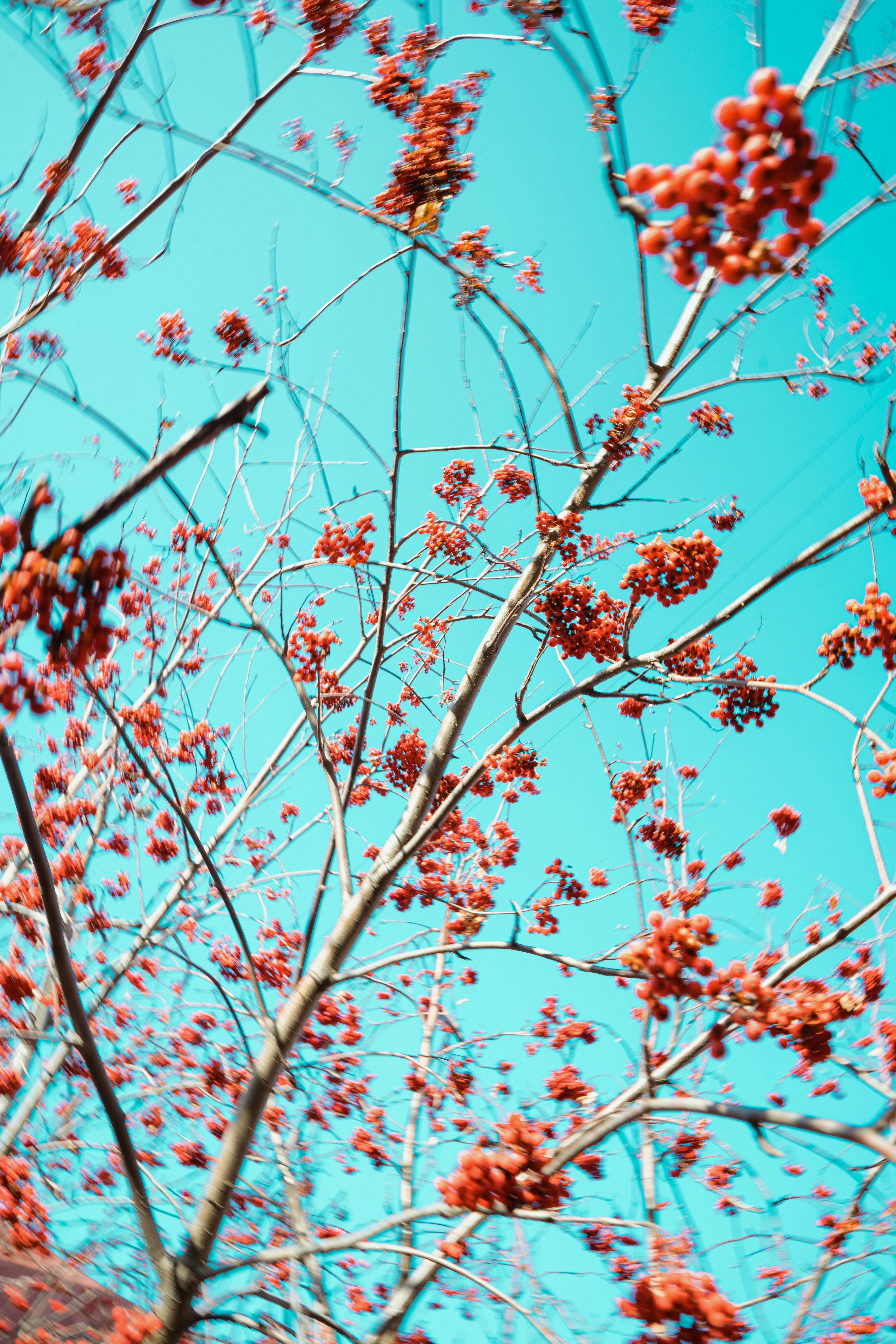 Photo by anamnesis33