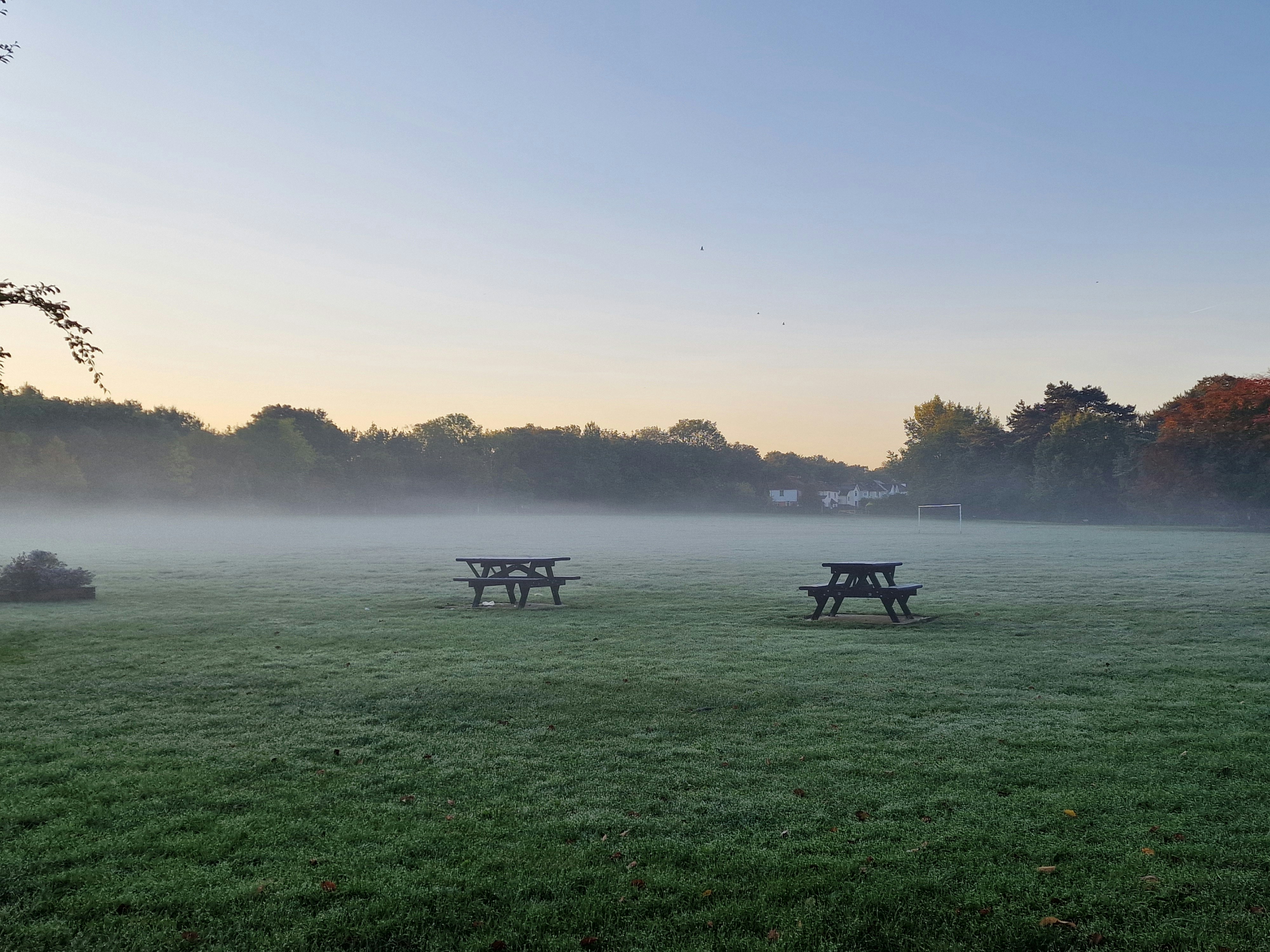 A group of benches sitting in a field covered in fog