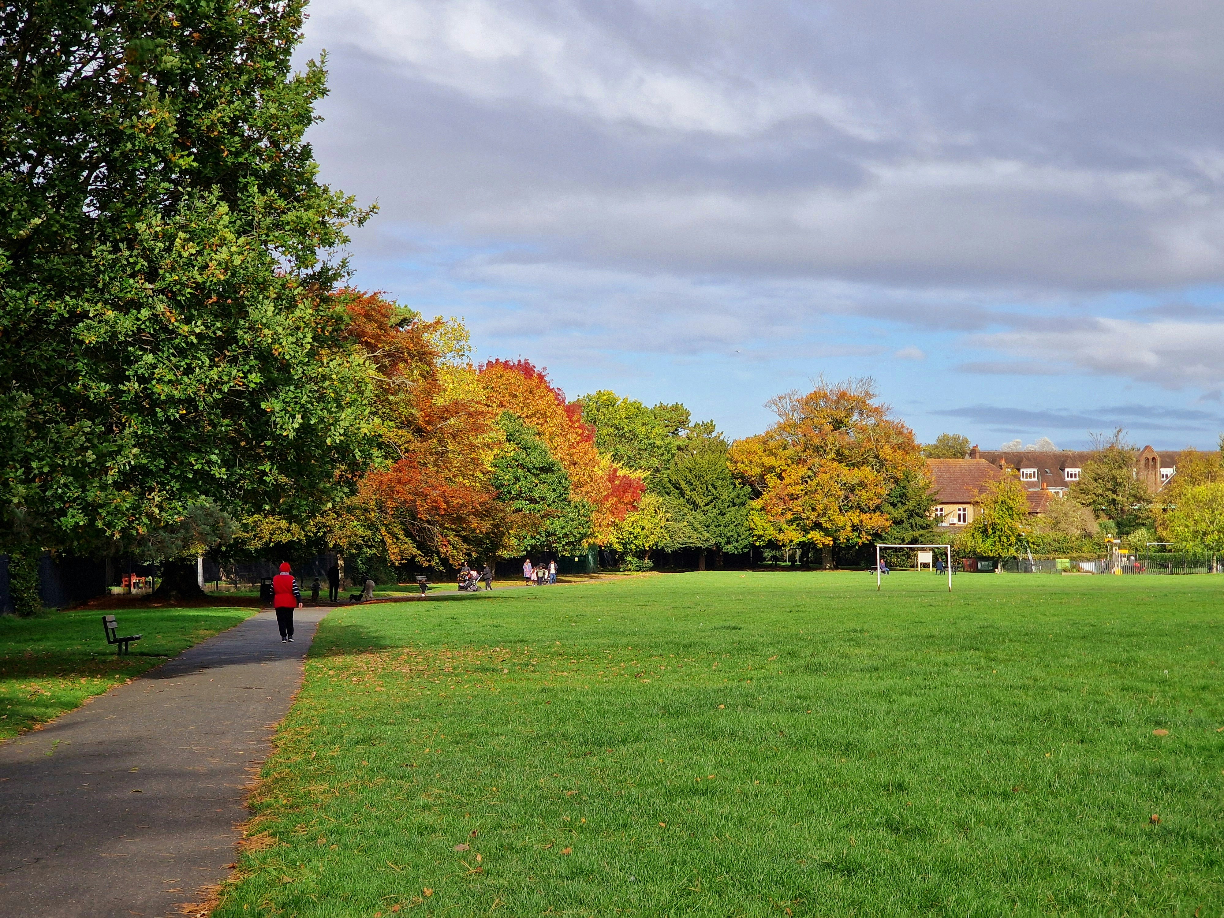 A person walking down a path in a park