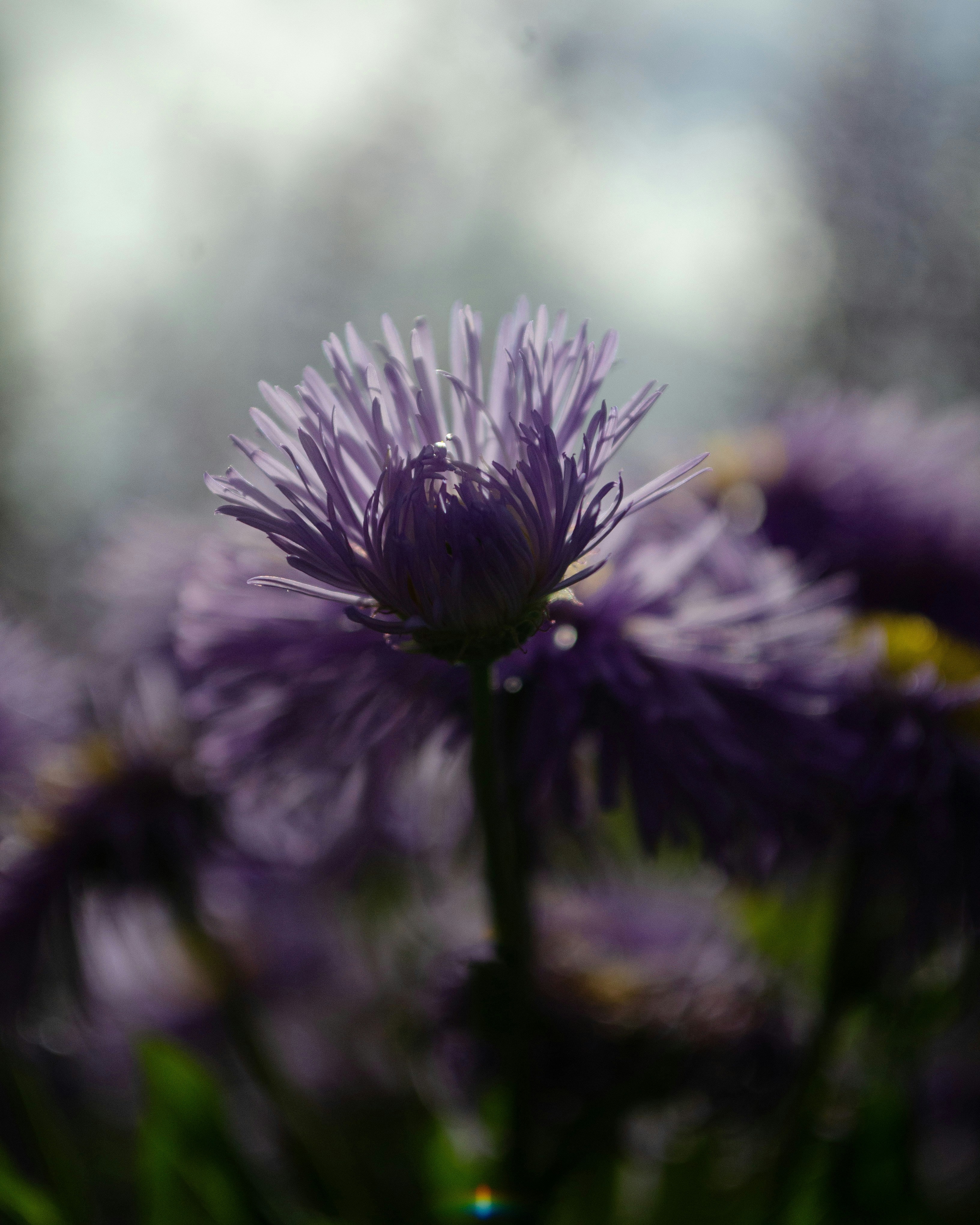 Photo by ketsia01