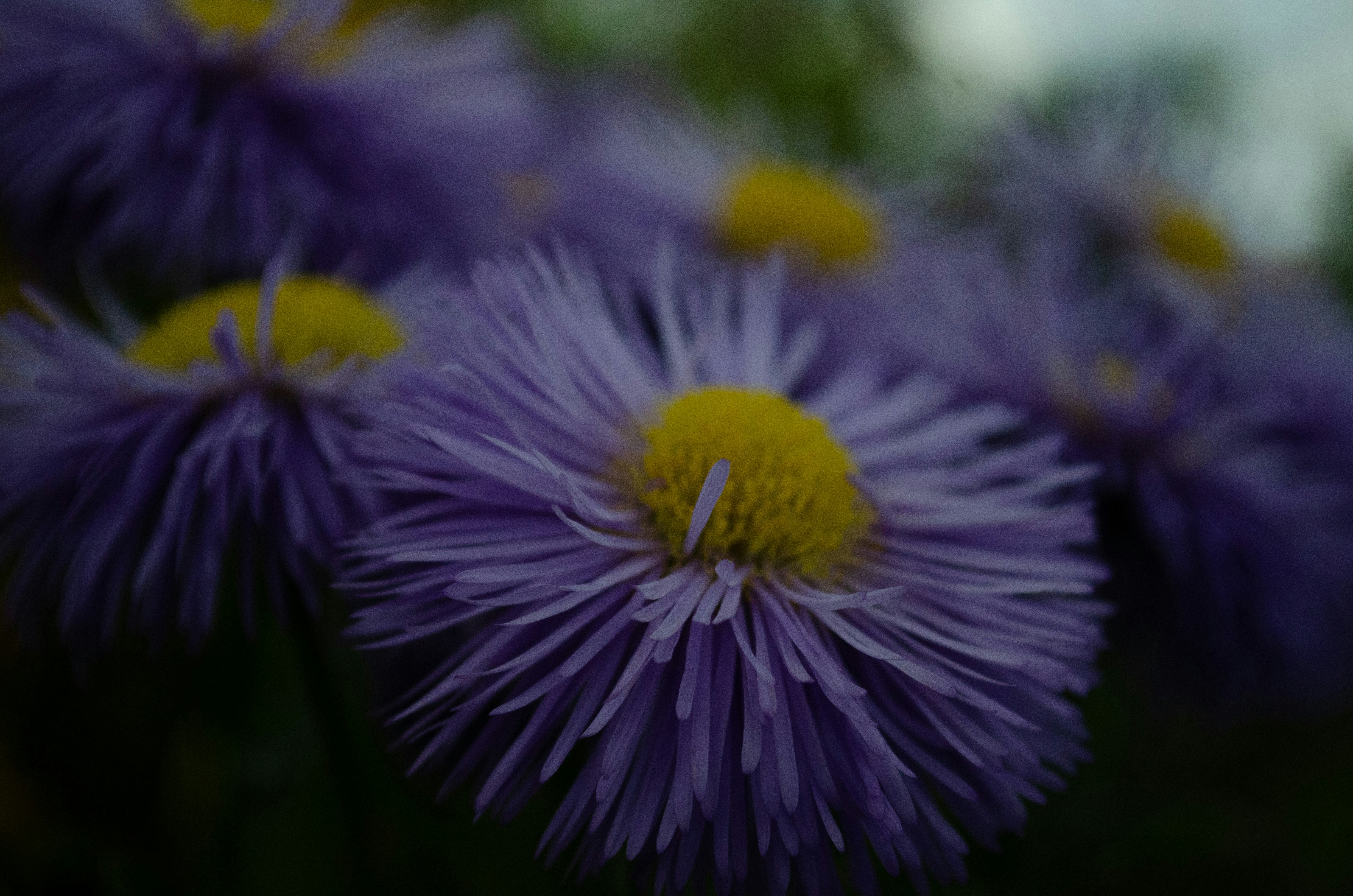 Photo by ketsia01