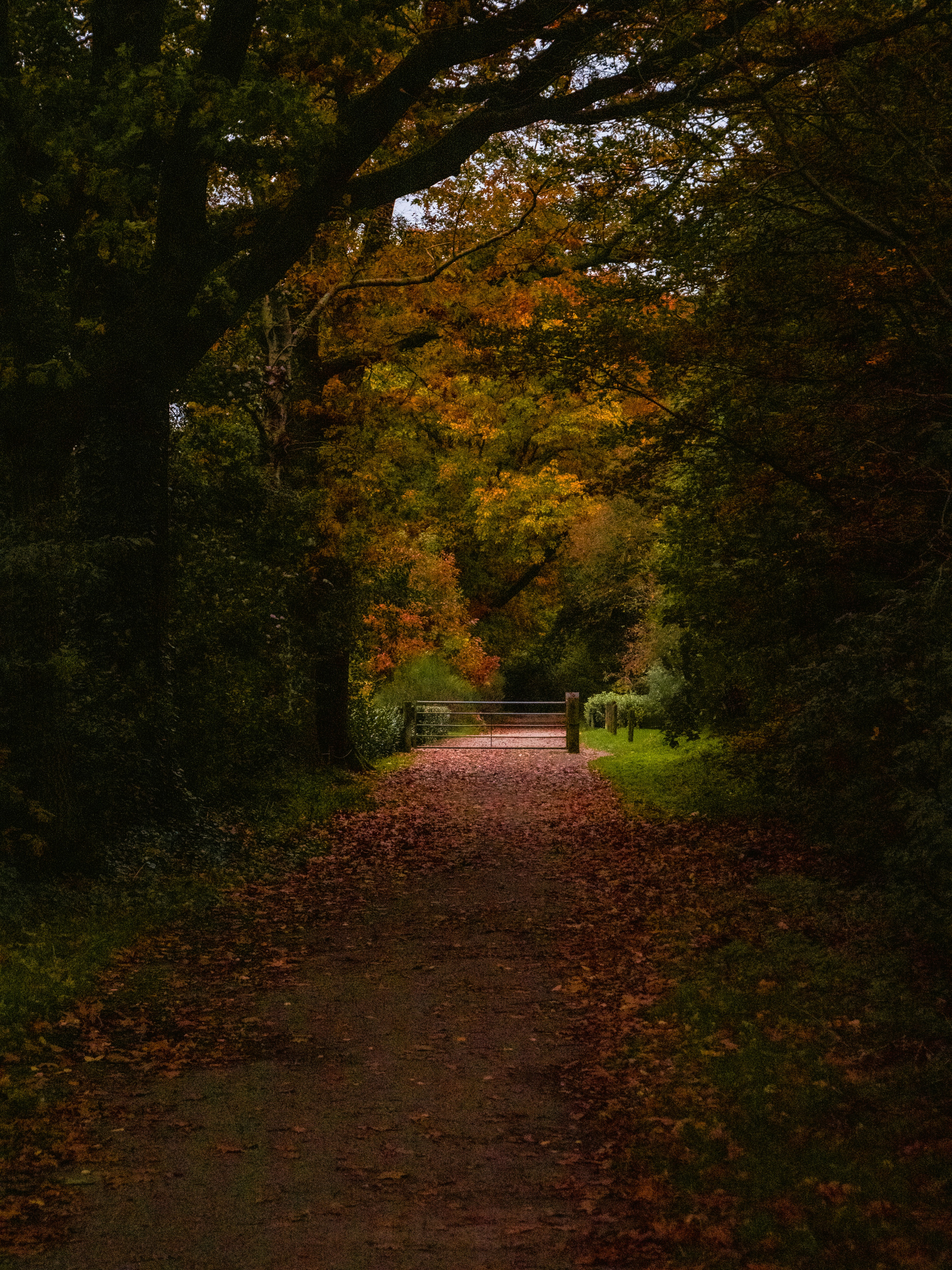 Photo by imkevictoria