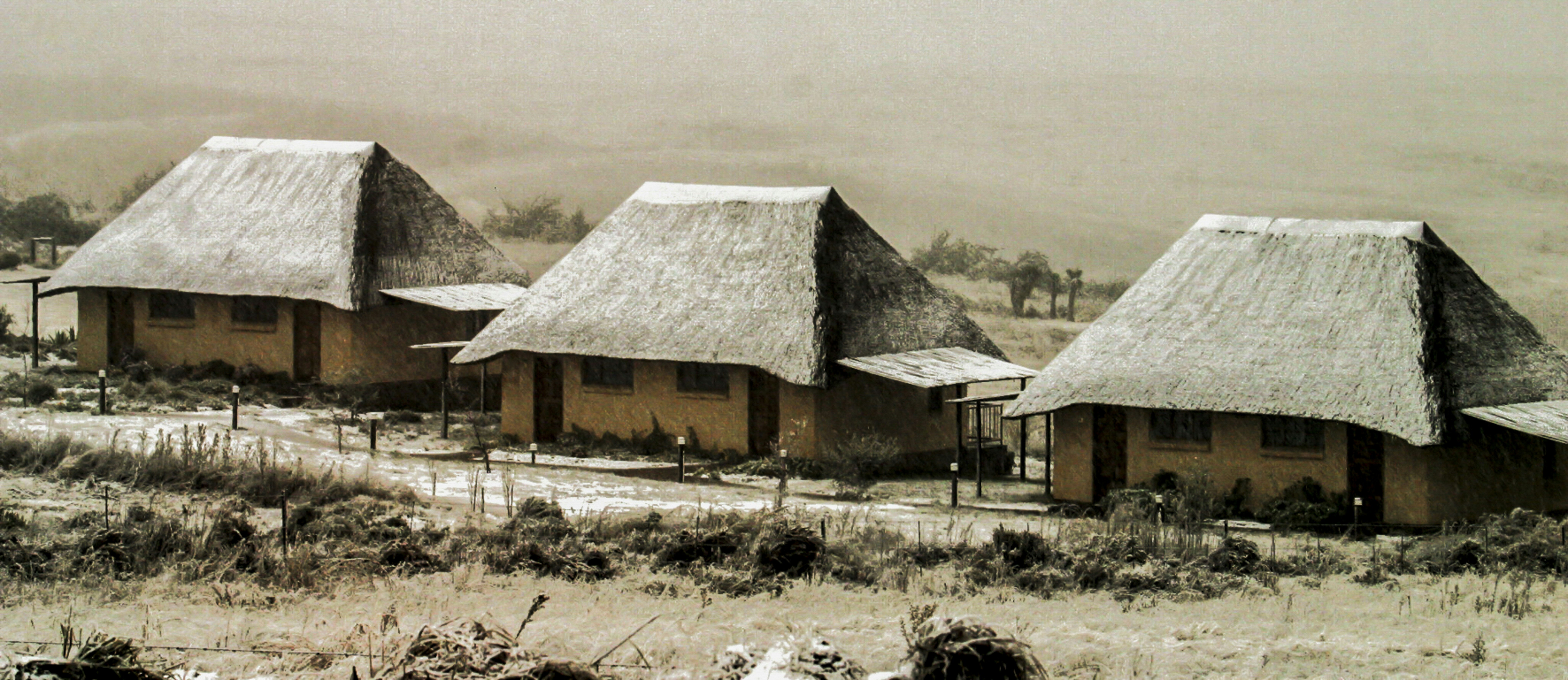A group of huts sitting on top of a dry grass field