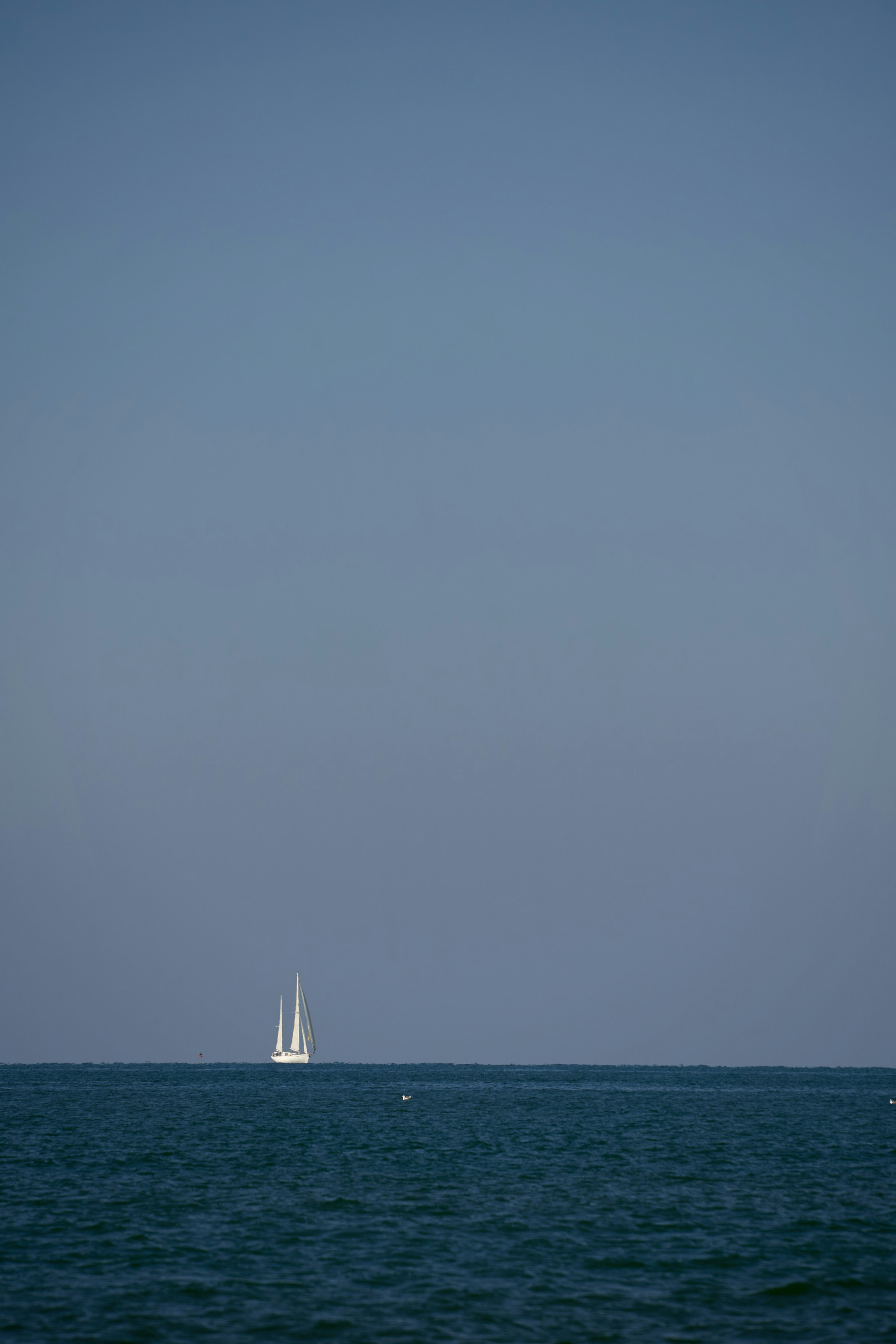 Photo by wolfgang_hasselmann