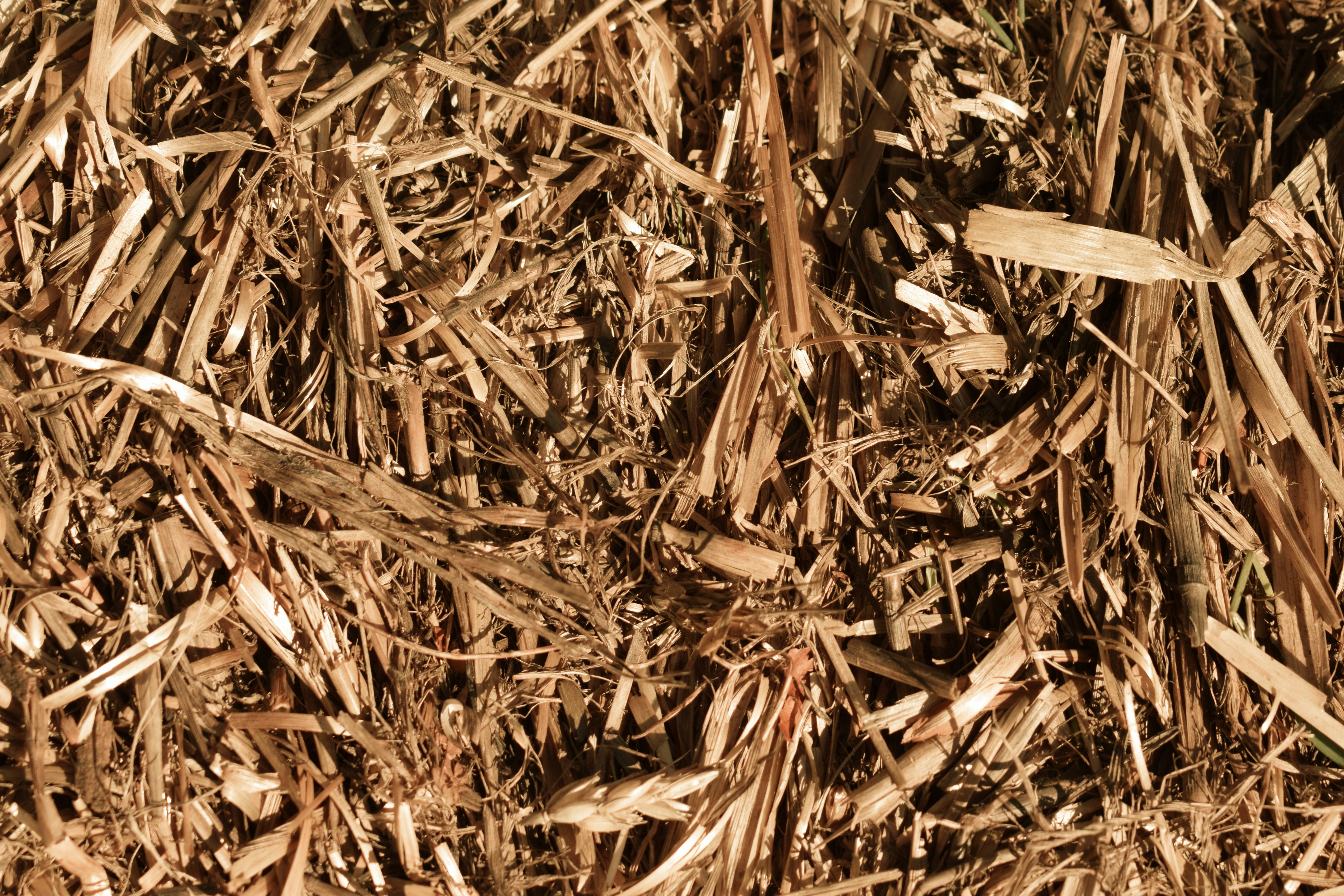Close-up view of the organic material mixture showing wood chips, alfalfa, and straw used in composting - body composting process