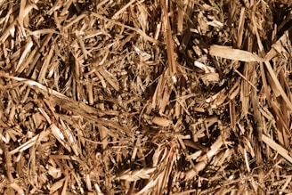 A close up of a pile of wood chips