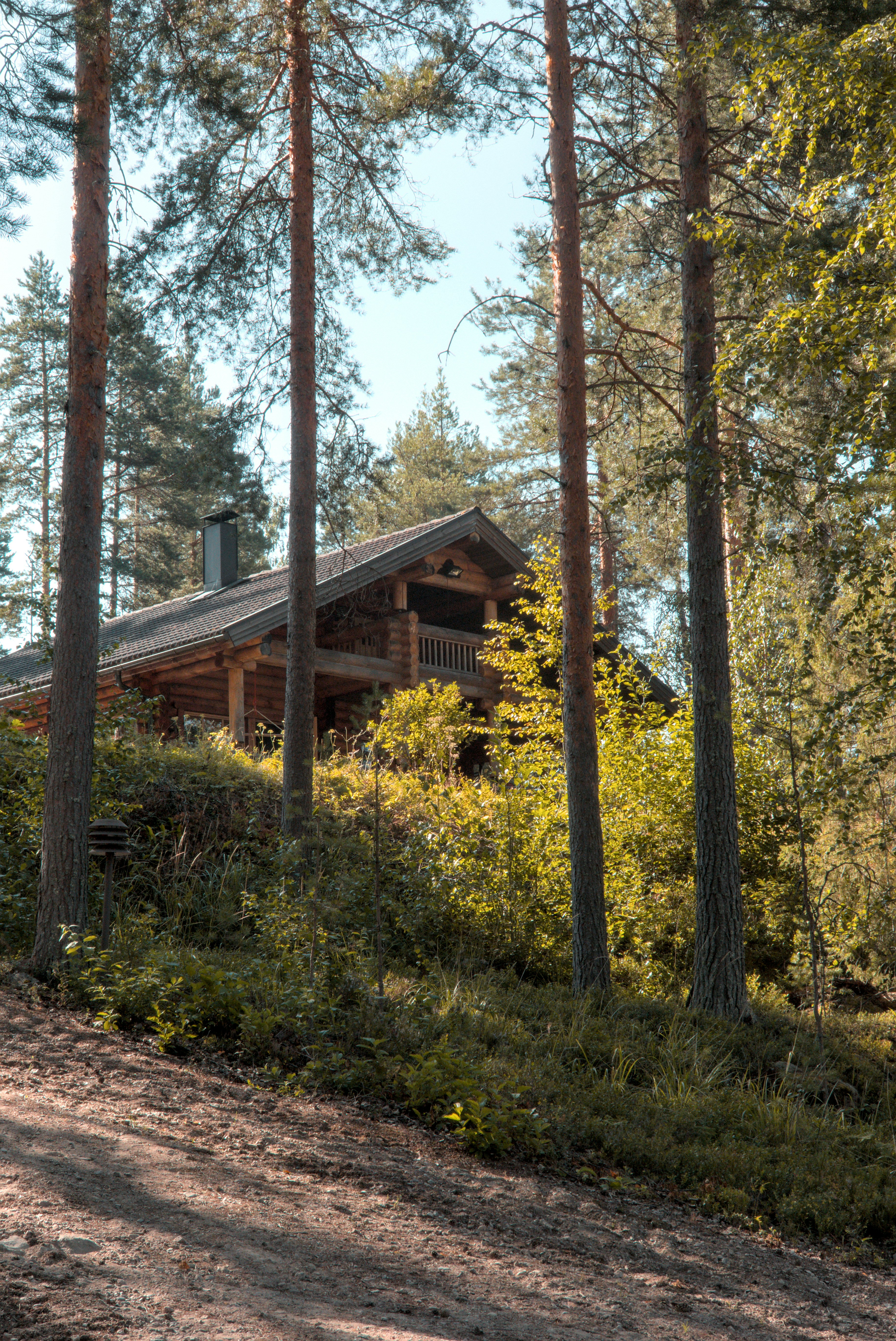 Photo by franzgrossmann