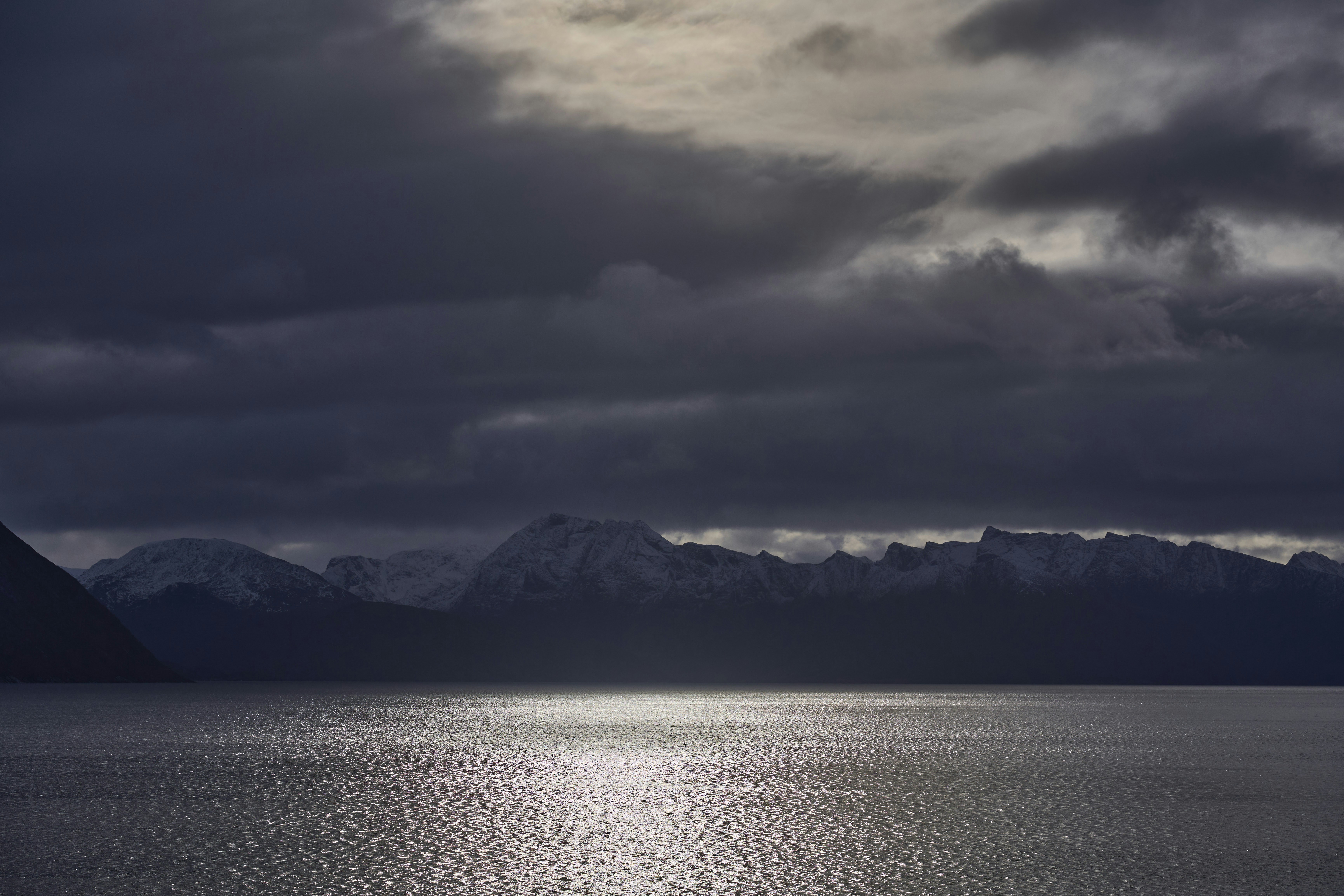 Photo by wolfgang_hasselmann