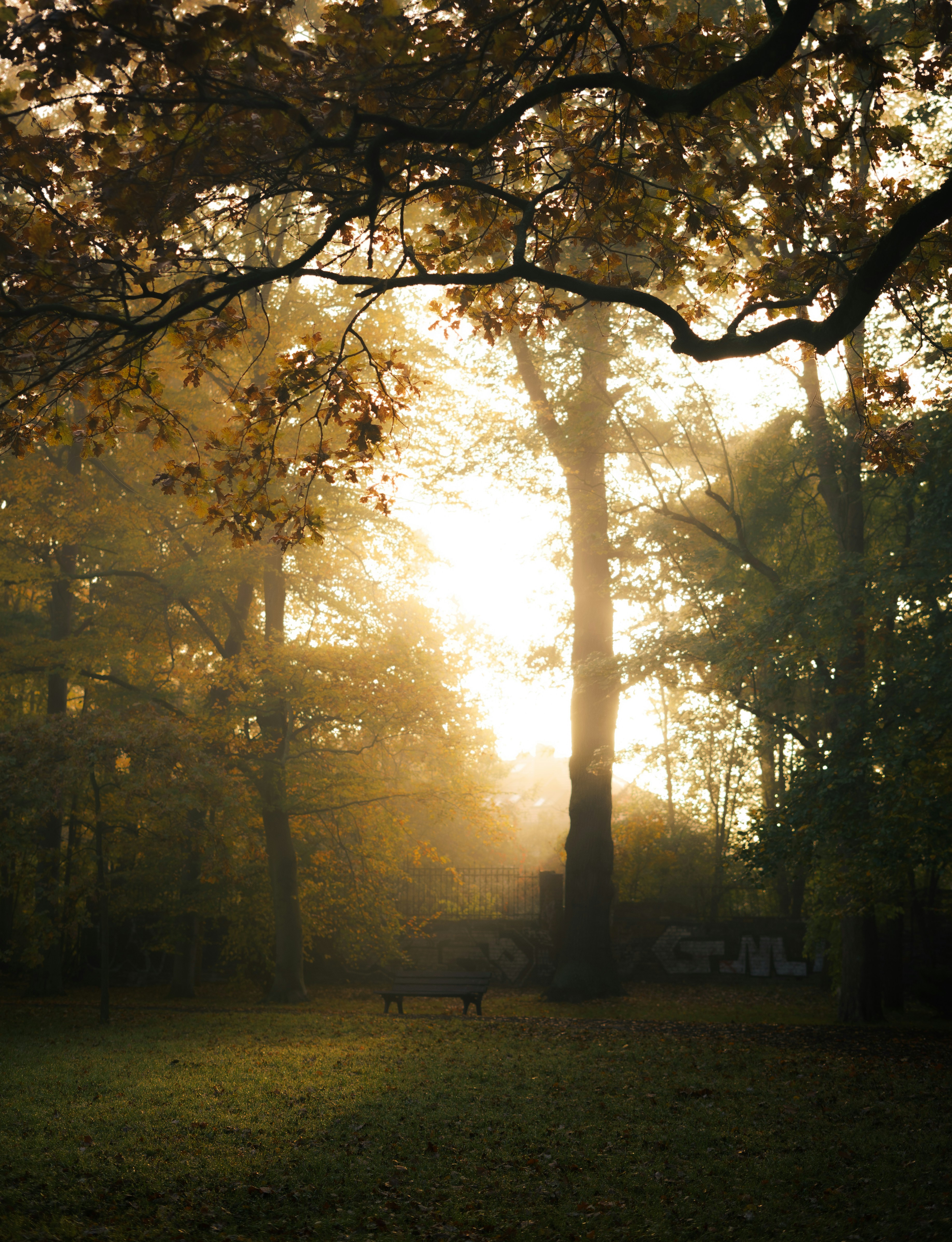 Photo by userwithcamera