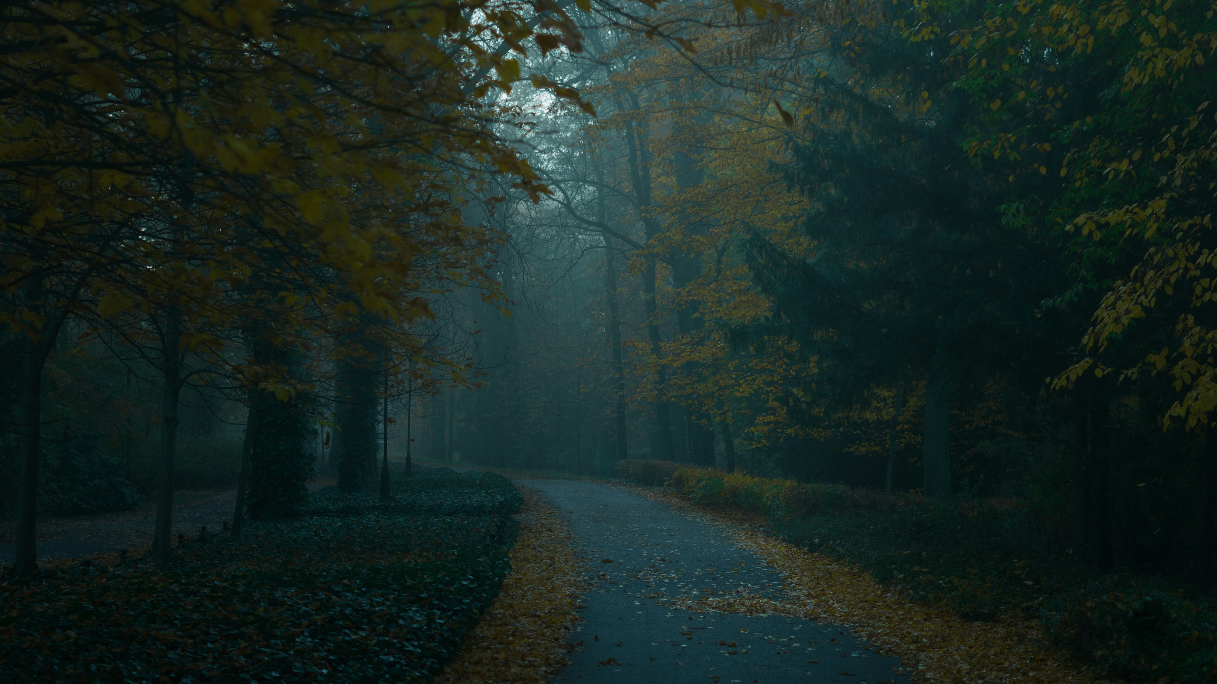 Photo by userwithcamera